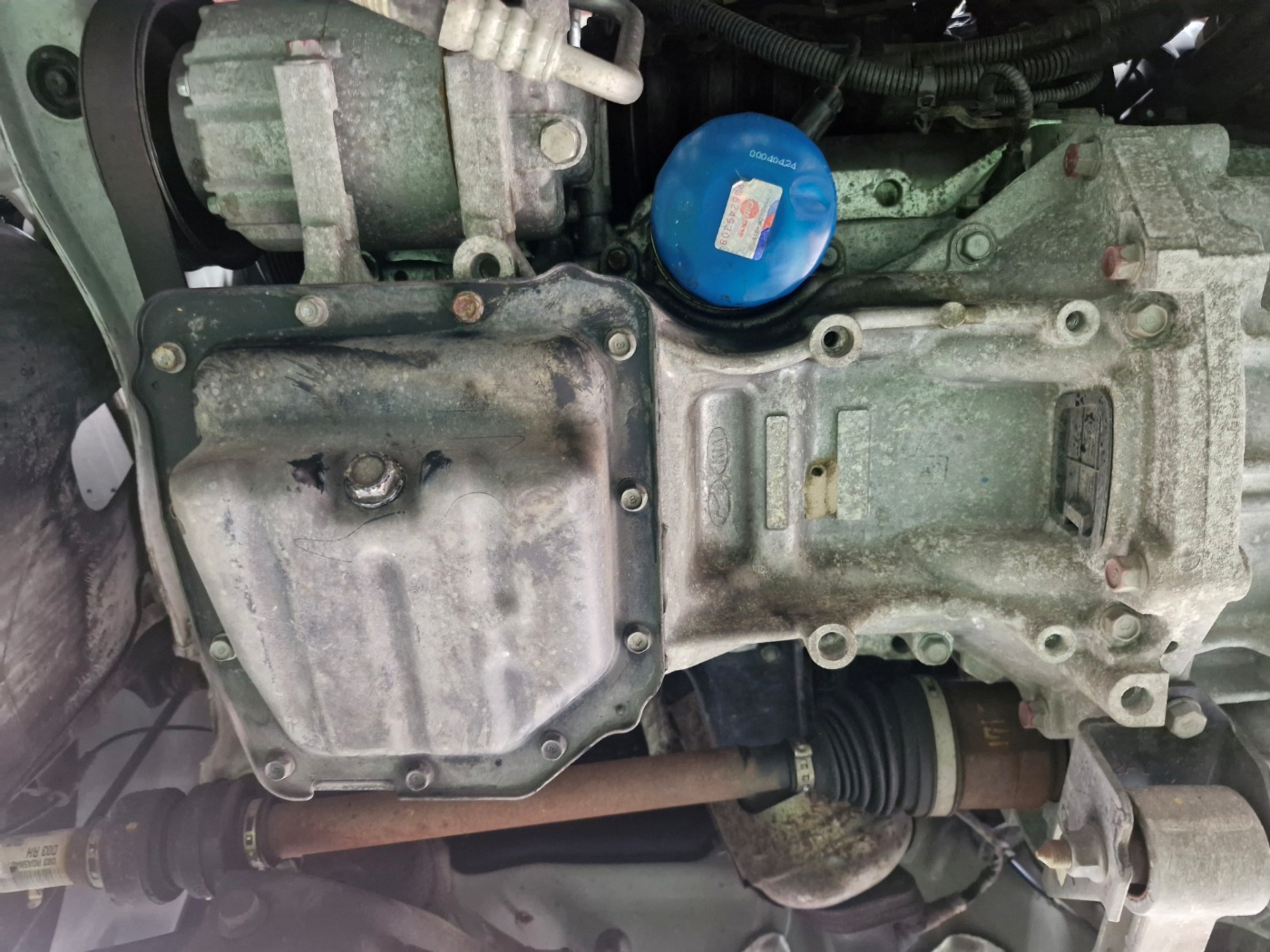 d411e30567d5bf7a37365ec55a2d5b64_1745285588_7082.jpg