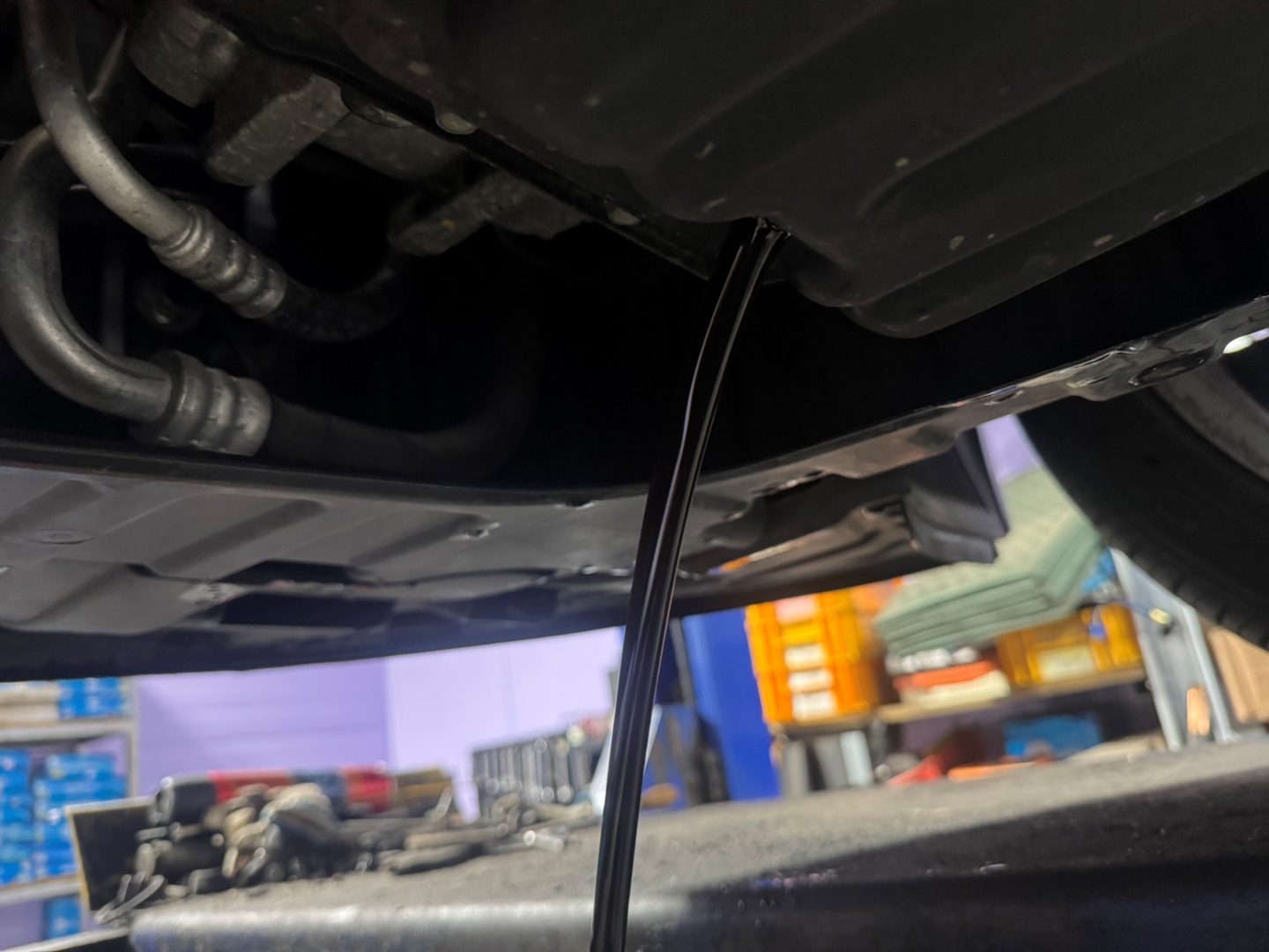 98d6febf89b8f3e89b1c7be103d6c1cd_1759284757_1411.jpg 98d6febf89b8f3e89b1c7be103d6c1cd_1759284757_1411.jpg