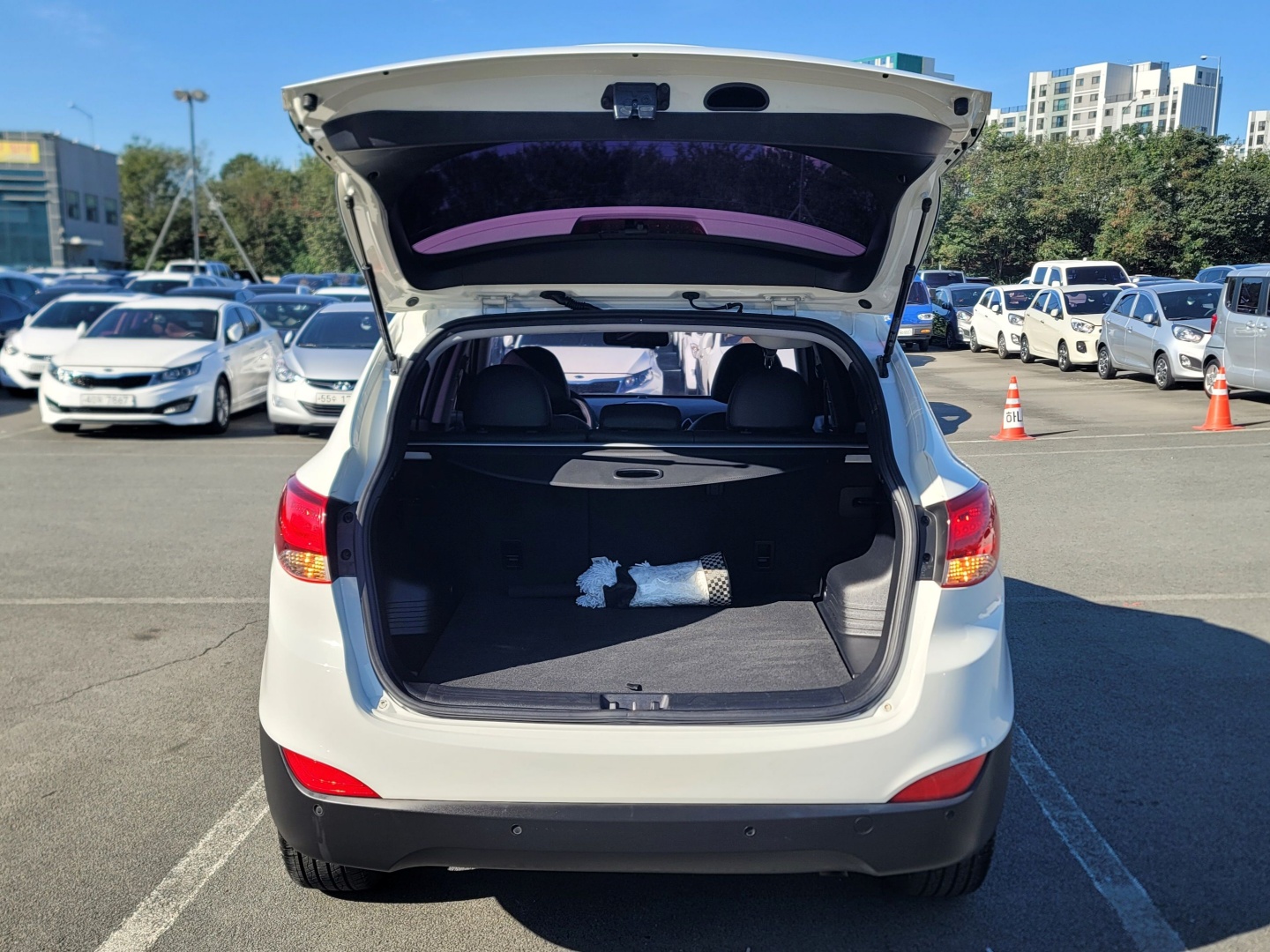 c36f6853ecfa59eb0cfdba0bc40a2d99_1761528315_0801.jpg c36f6853ecfa59eb0cfdba0bc40a2d99_1761528315_0801.jpg