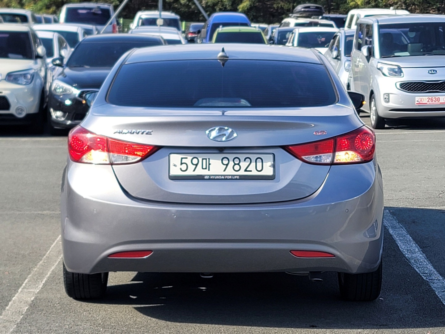 2320b7ed07e1cb3b953e160ab65a5472_1763366779_8943.jpg 2320b7ed07e1cb3b953e160ab65a5472_1763366779_8943.jpg