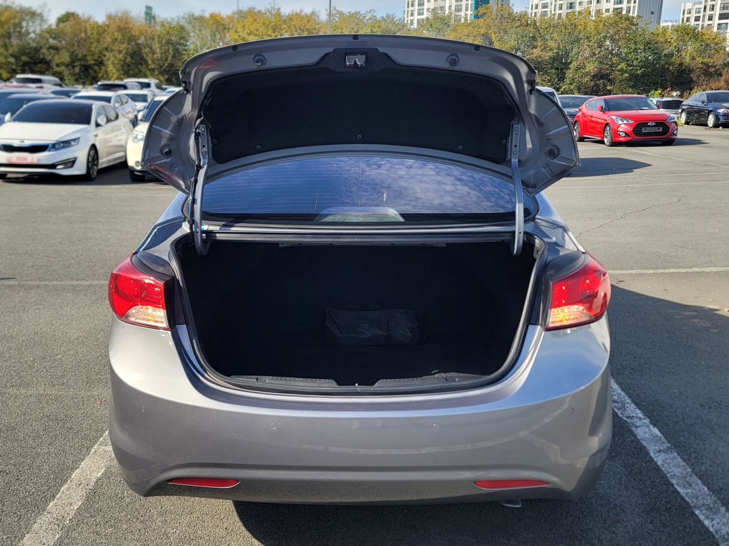 2320b7ed07e1cb3b953e160ab65a5472_1763366781_1014.jpg 2320b7ed07e1cb3b953e160ab65a5472_1763366781_1014.jpg