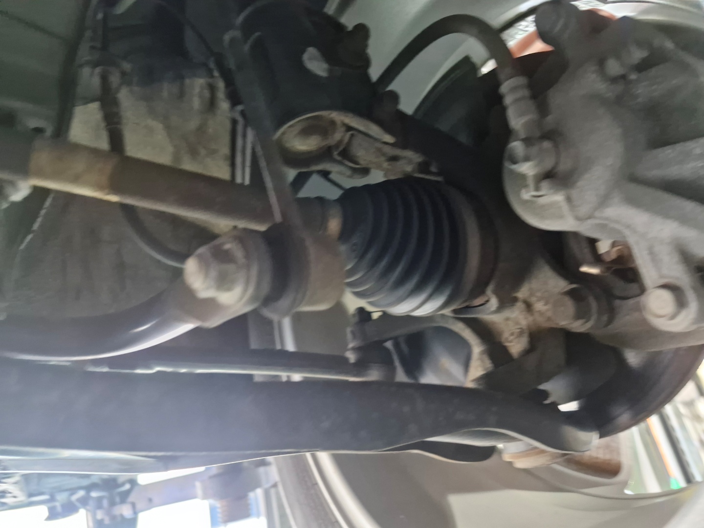 2320b7ed07e1cb3b953e160ab65a5472_1763366844_6225.jpg 2320b7ed07e1cb3b953e160ab65a5472_1763366844_6225.jpg