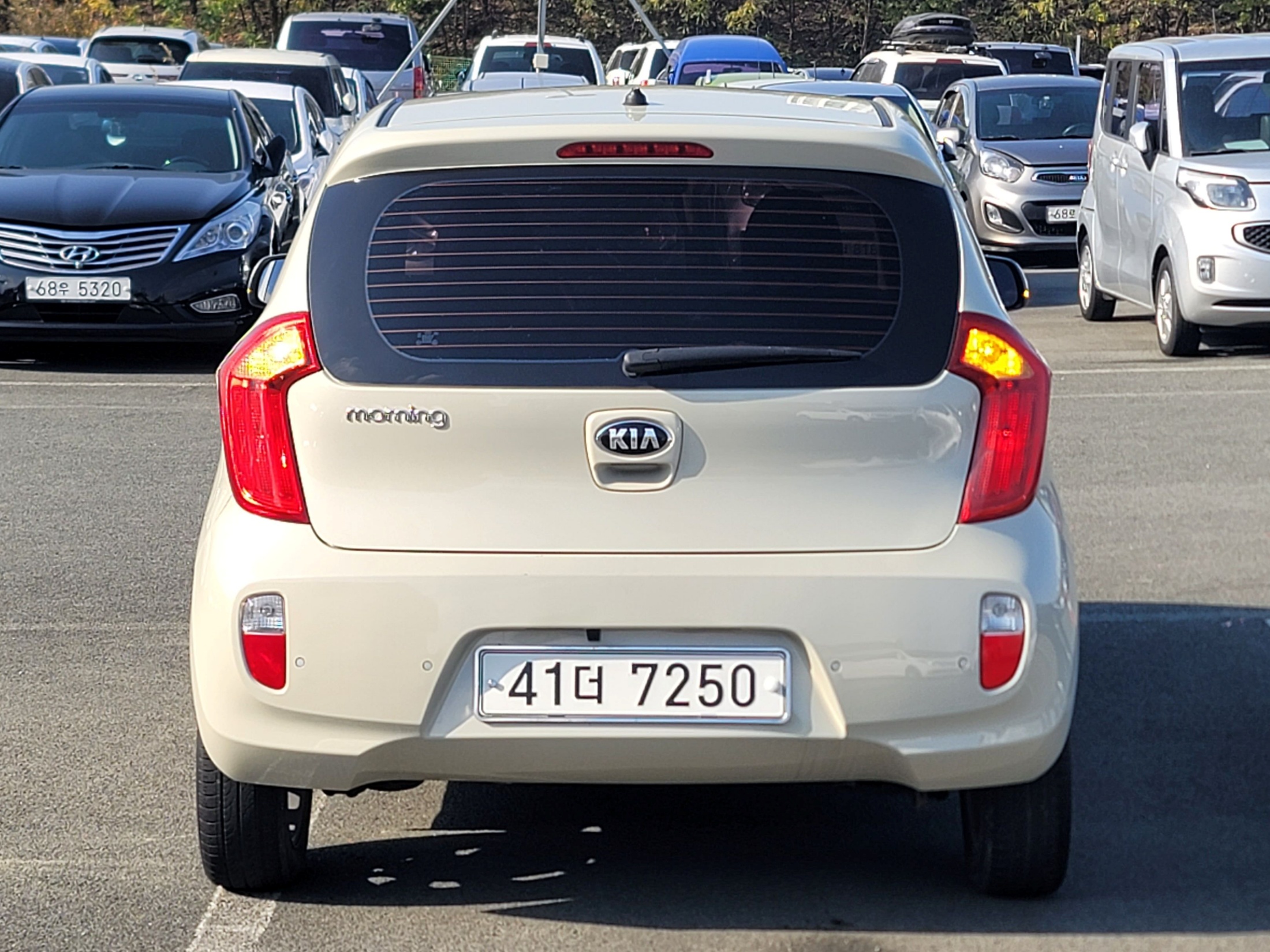 3683b9b0f3f6e6adae415e78893097b3_1764215575_1507.jpg 3683b9b0f3f6e6adae415e78893097b3_1764215575_1507.jpg