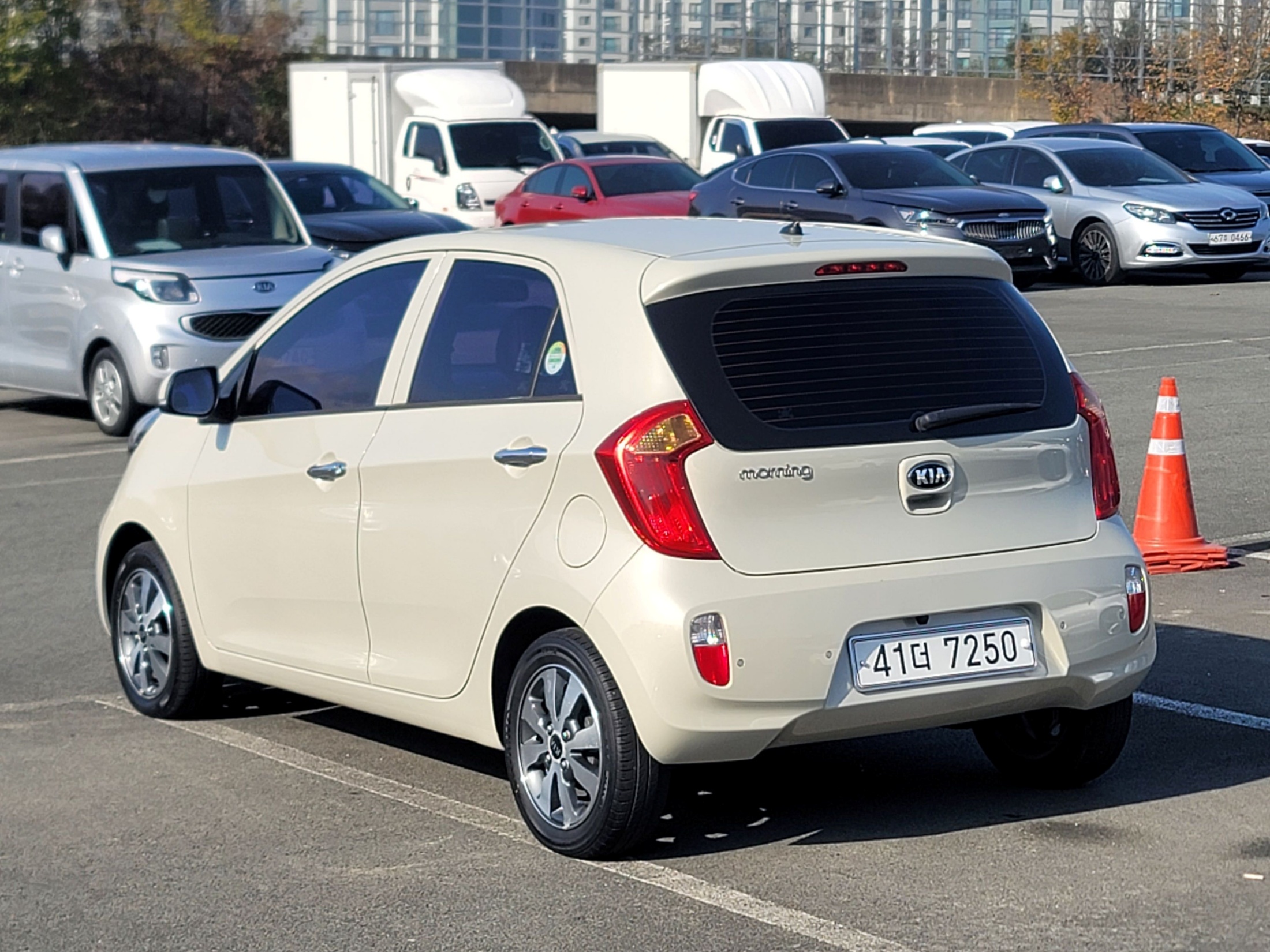 3683b9b0f3f6e6adae415e78893097b3_1764215575_4944.jpg 3683b9b0f3f6e6adae415e78893097b3_1764215575_4944.jpg