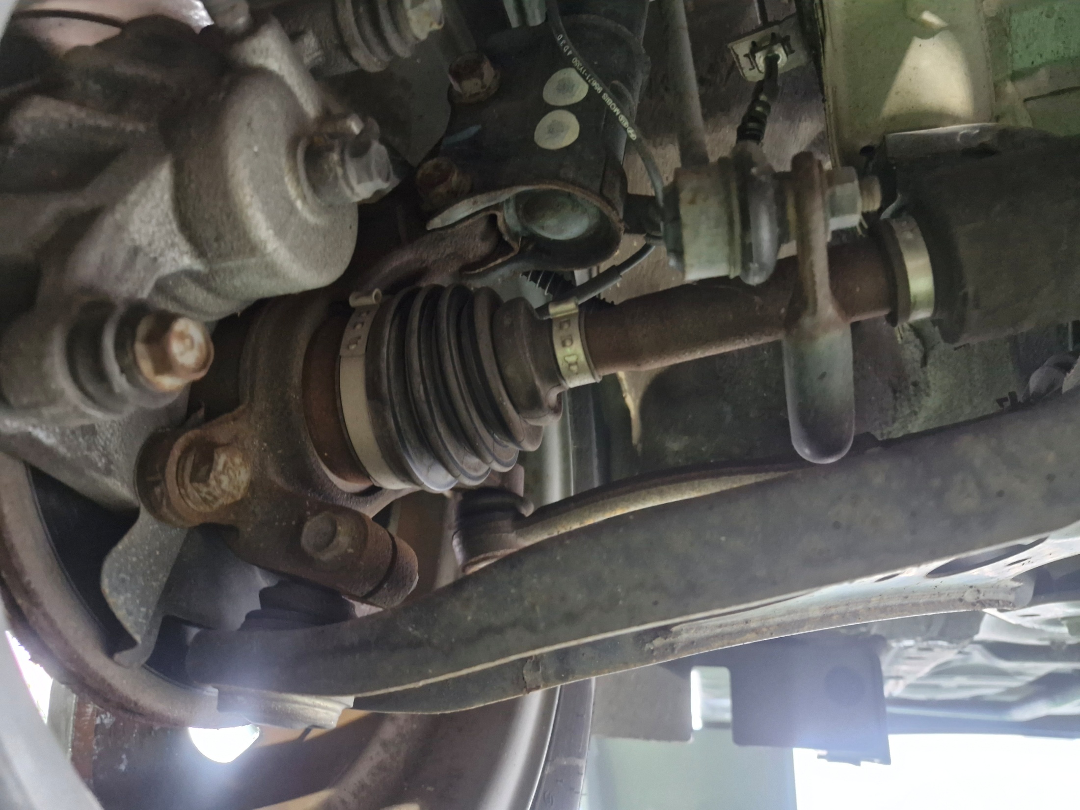 3683b9b0f3f6e6adae415e78893097b3_1764215637_9379.jpg 3683b9b0f3f6e6adae415e78893097b3_1764215637_9379.jpg