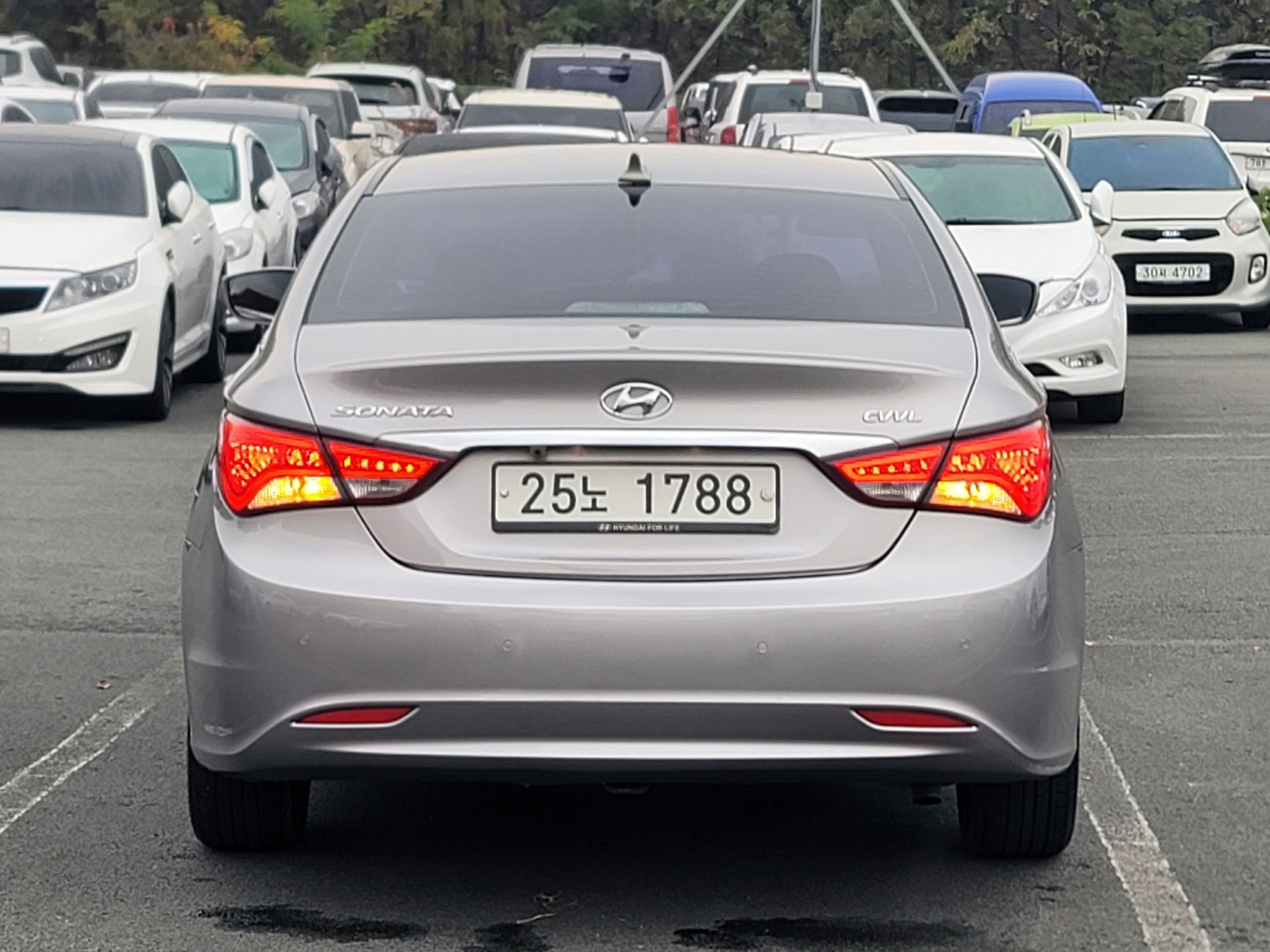 5308b38b5d26e787cb6c64ed2f2f965f_1764038343_6177.jpg 5308b38b5d26e787cb6c64ed2f2f965f_1764038343_6177.jpg