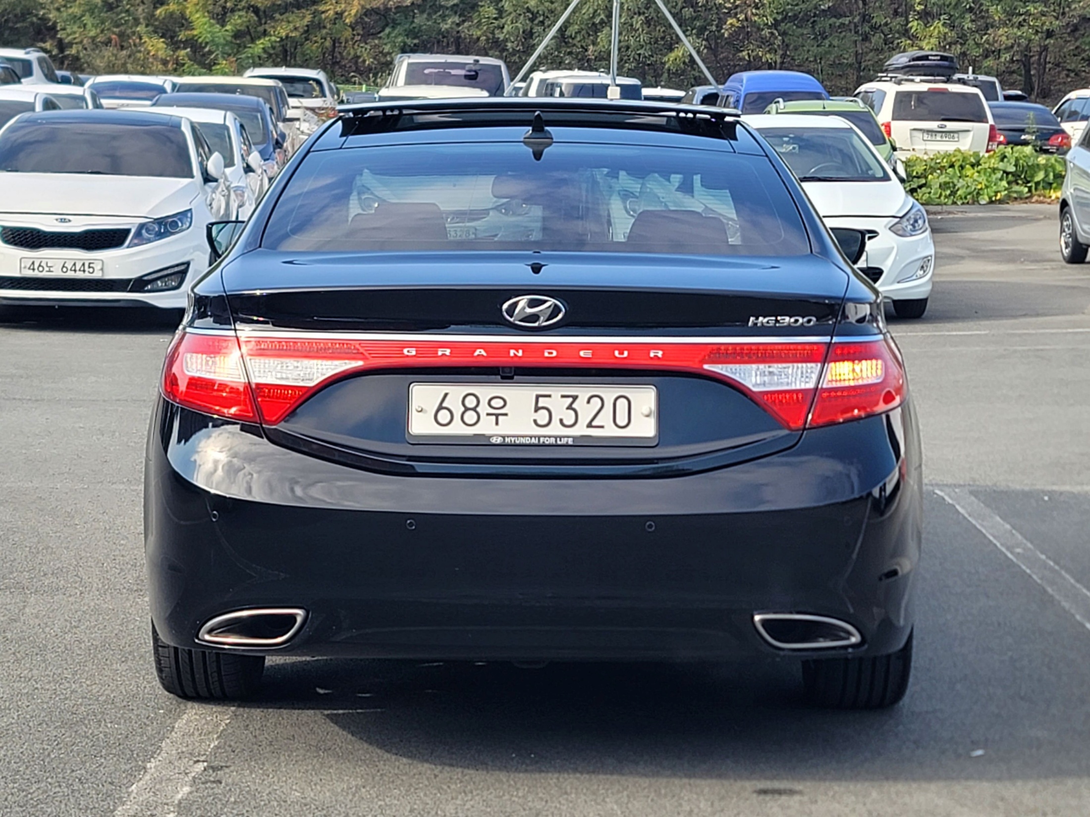 806992446c0c64d8fb20e4b2b9a021b9_1763624833_182.jpg 806992446c0c64d8fb20e4b2b9a021b9_1763624833_182.jpg