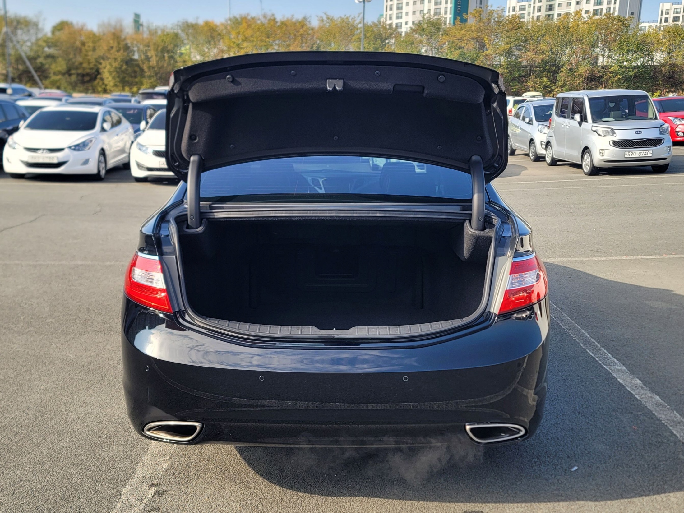 806992446c0c64d8fb20e4b2b9a021b9_1763624835_437.jpg 806992446c0c64d8fb20e4b2b9a021b9_1763624835_437.jpg