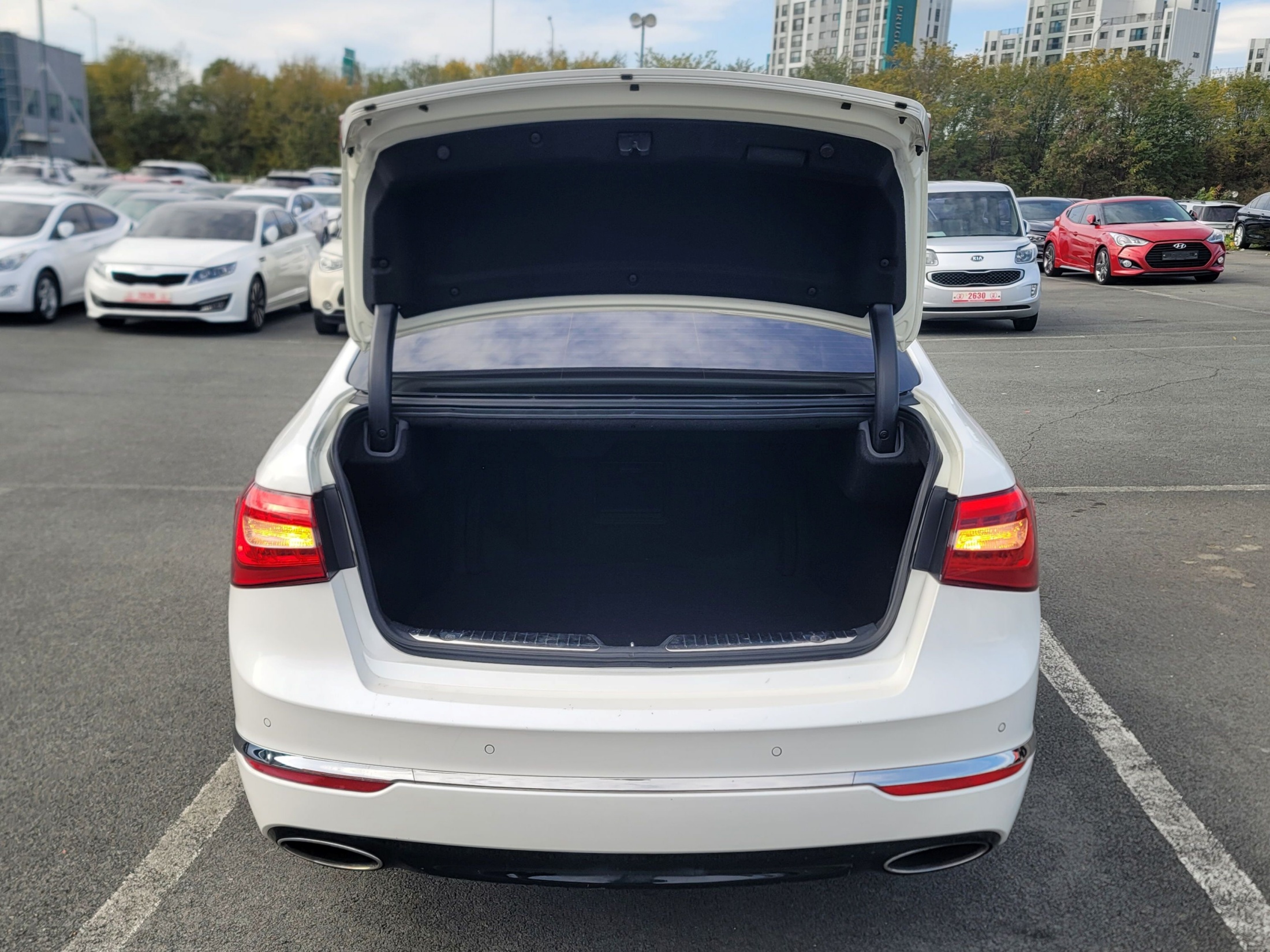 806992446c0c64d8fb20e4b2b9a021b9_1763625176_8765.jpg 806992446c0c64d8fb20e4b2b9a021b9_1763625176_8765.jpg