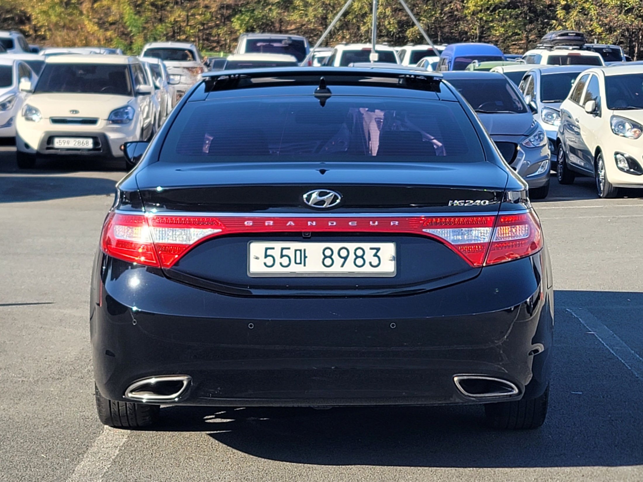 9c31681b49bb067c1d5fa1d167bb4810_1764303051_1431.jpg 9c31681b49bb067c1d5fa1d167bb4810_1764303051_1431.jpg