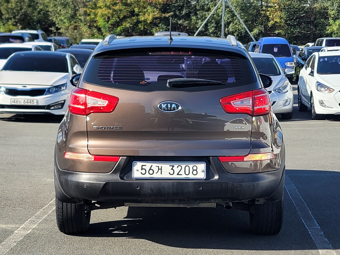 d4674cfd3ec84506fd088f7f2ea6ea6b_1762836265_0057.jpg d4674cfd3ec84506fd088f7f2ea6ea6b_1762836265_0057.jpg