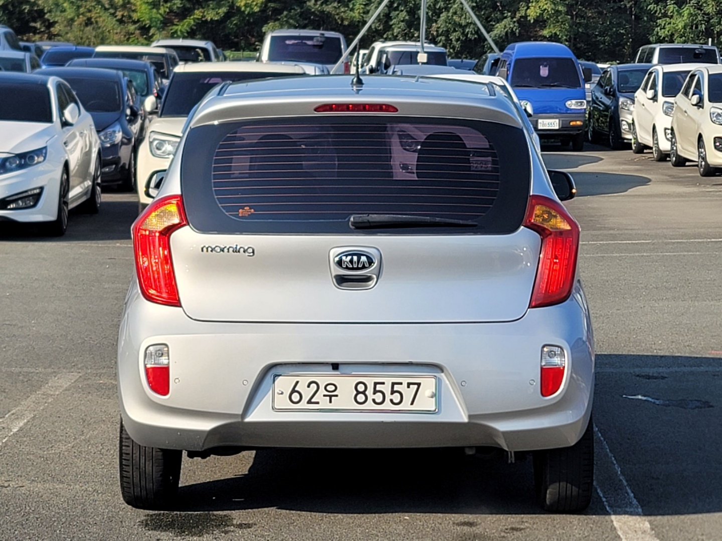 e0b7c7ebbcc37b39db07b38d4512b734_1762235278_2963.jpg e0b7c7ebbcc37b39db07b38d4512b734_1762235278_2963.jpg