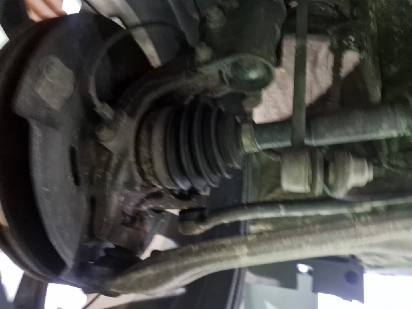 e5b8c177b46baa0fef2aff0e67ac1692_1762736087_3127.jpg e5b8c177b46baa0fef2aff0e67ac1692_1762736087_3127.jpg