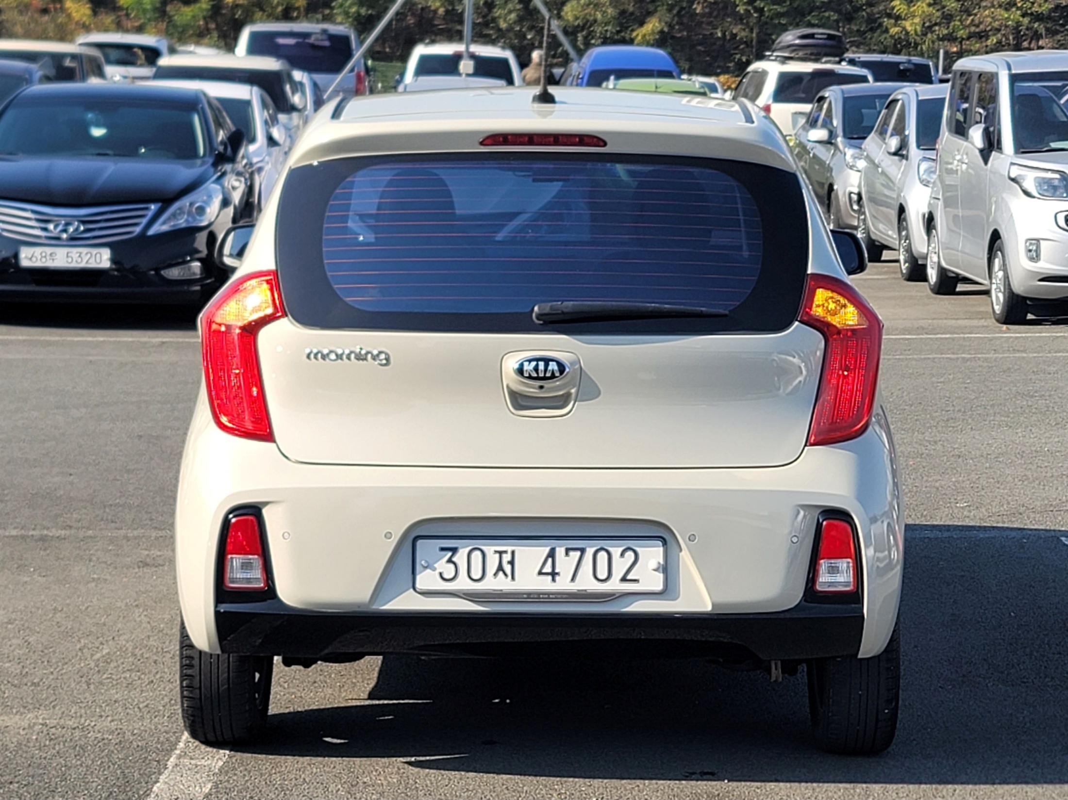 e974003bd0d2b293a7941f0043826af8_1763956038_584.jpg e974003bd0d2b293a7941f0043826af8_1763956038_584.jpg