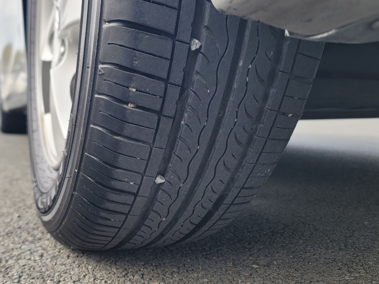 ecb51cdcb1076caed03eaa112a454726_1763439128_8945.jpg ecb51cdcb1076caed03eaa112a454726_1763439128_8945.jpg