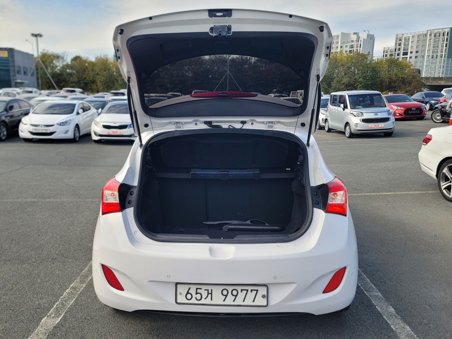 ecb51cdcb1076caed03eaa112a454726_1763439192_9274.jpg ecb51cdcb1076caed03eaa112a454726_1763439192_9274.jpg