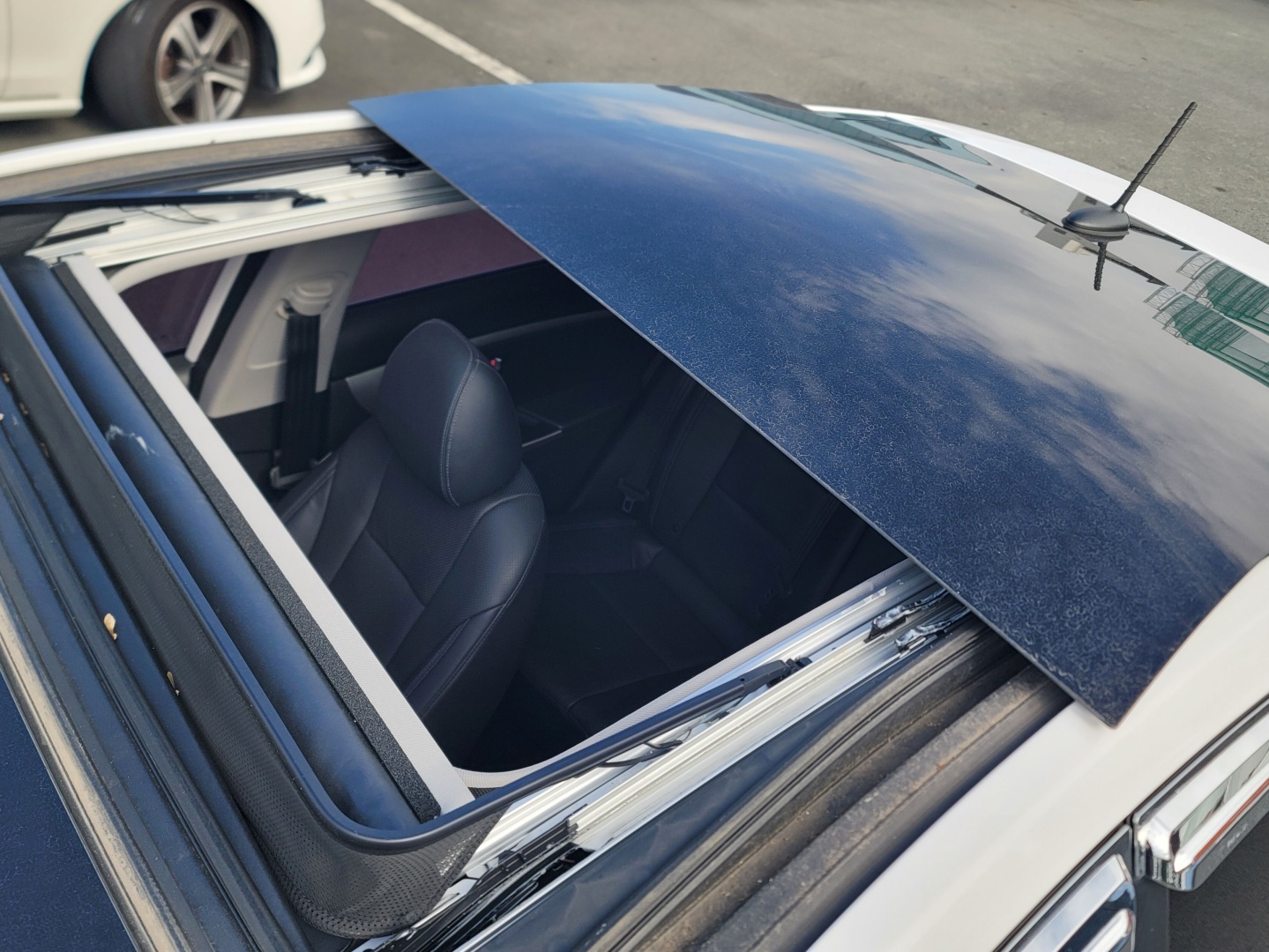 ecb51cdcb1076caed03eaa112a454726_1763439206_1797.jpg ecb51cdcb1076caed03eaa112a454726_1763439206_1797.jpg