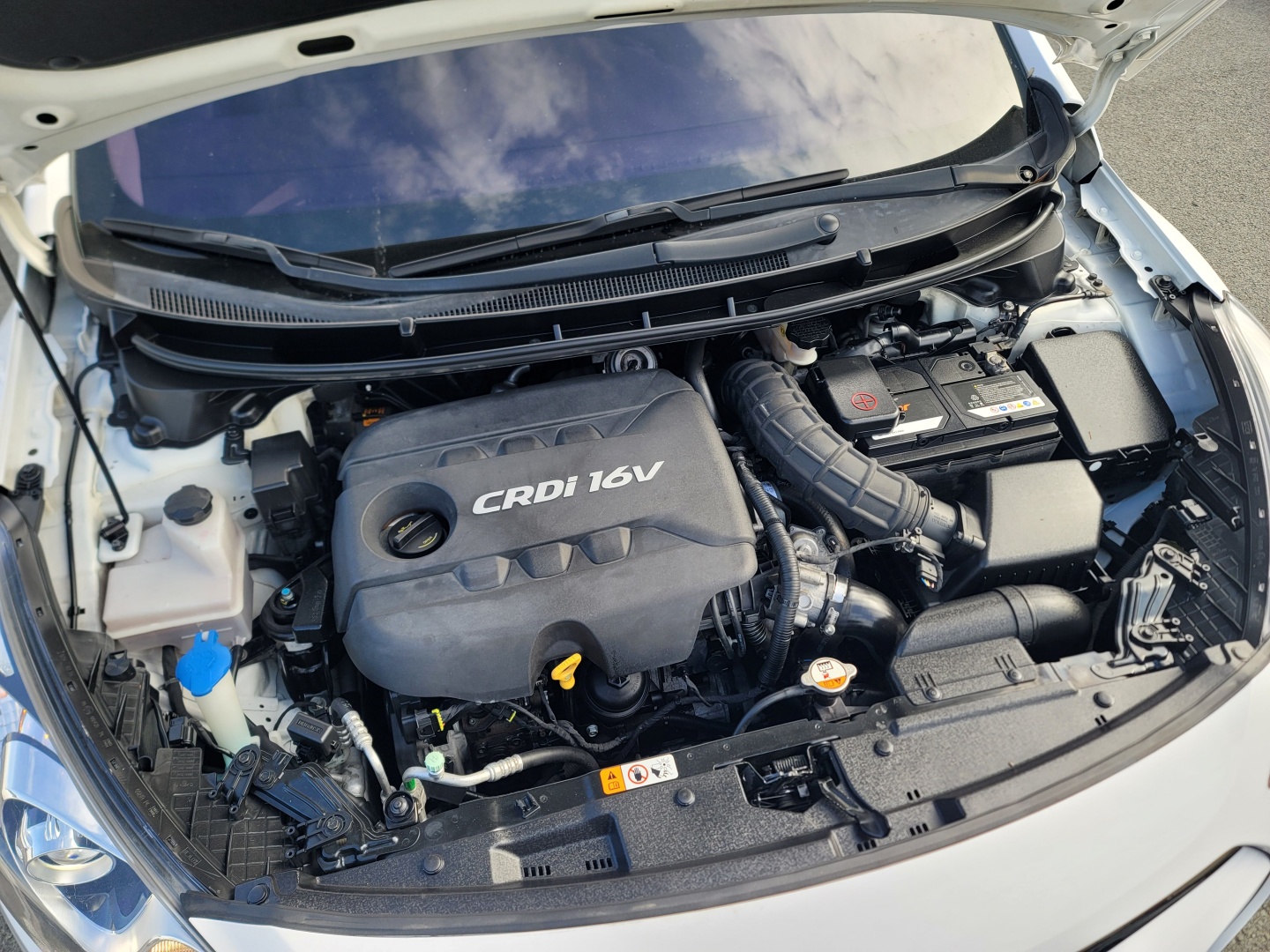 ecb51cdcb1076caed03eaa112a454726_1763439240_89.jpg ecb51cdcb1076caed03eaa112a454726_1763439240_89.jpg