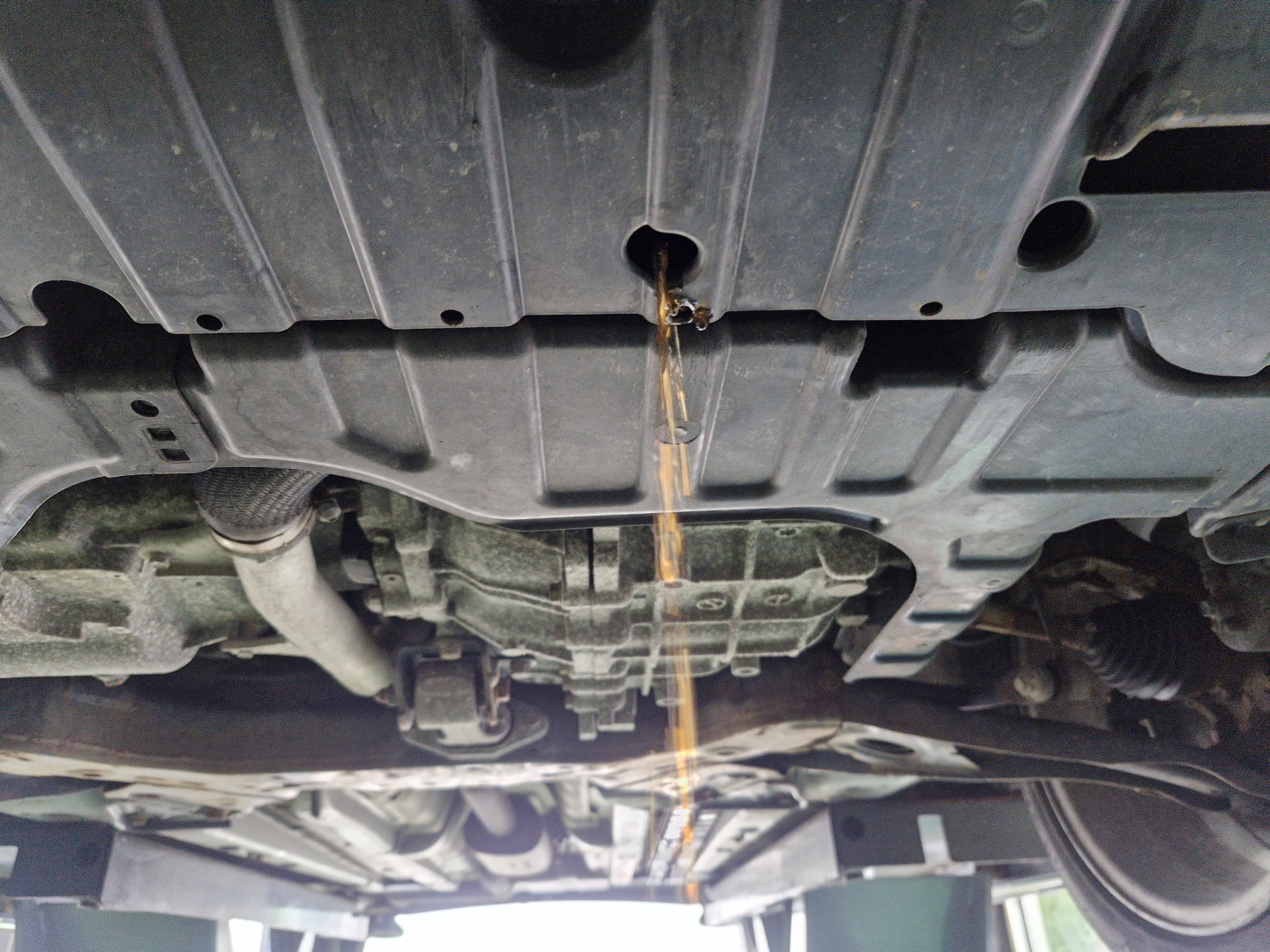 ecb51cdcb1076caed03eaa112a454726_1763439256_3917.jpg ecb51cdcb1076caed03eaa112a454726_1763439256_3917.jpg