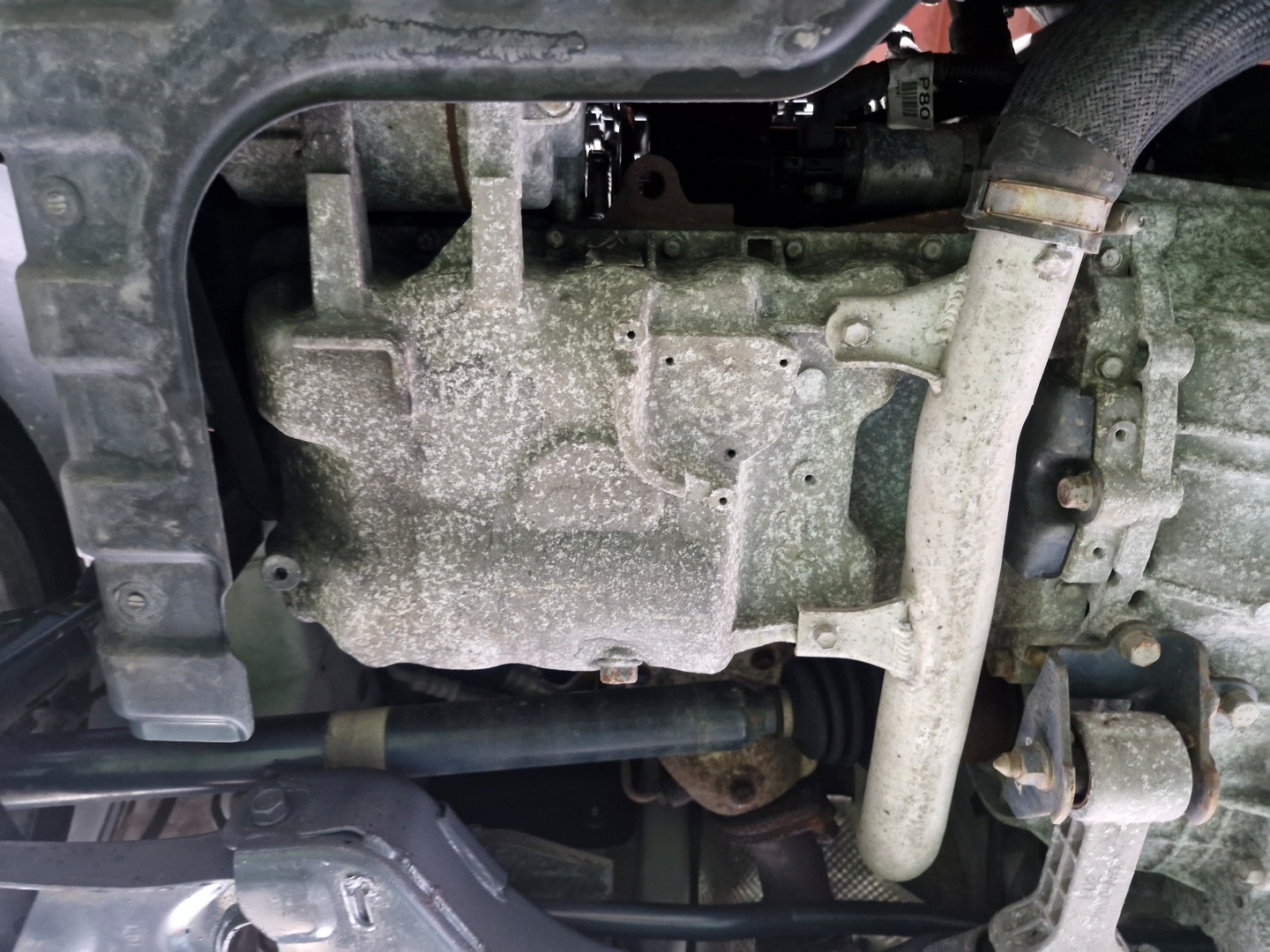 ecb51cdcb1076caed03eaa112a454726_1763439256_4968.jpg ecb51cdcb1076caed03eaa112a454726_1763439256_4968.jpg