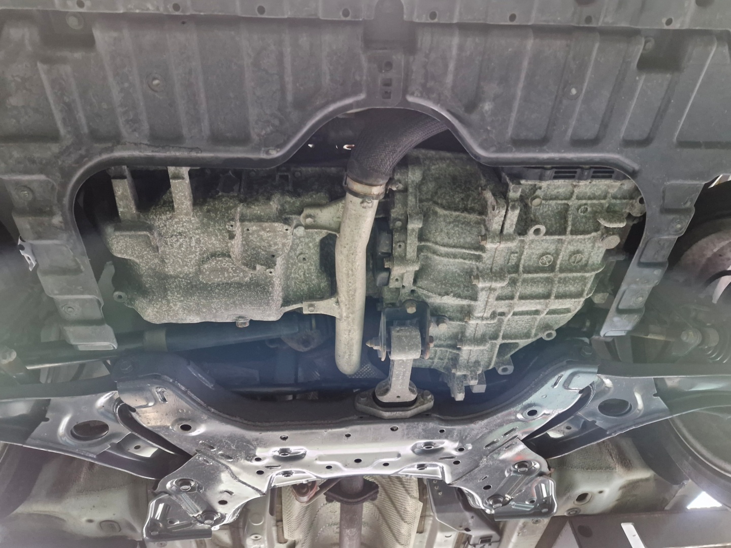 ecb51cdcb1076caed03eaa112a454726_1763439256_6978.jpg ecb51cdcb1076caed03eaa112a454726_1763439256_6978.jpg