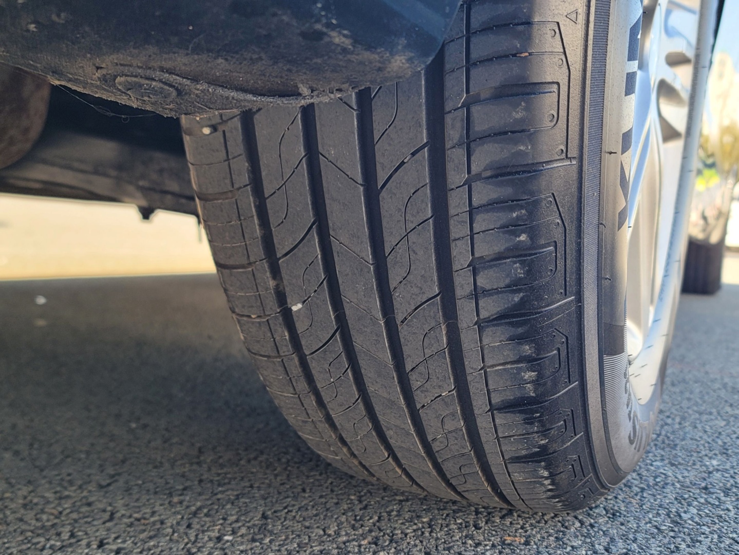 ecb51cdcb1076caed03eaa112a454726_1763439341_7605.jpg ecb51cdcb1076caed03eaa112a454726_1763439341_7605.jpg