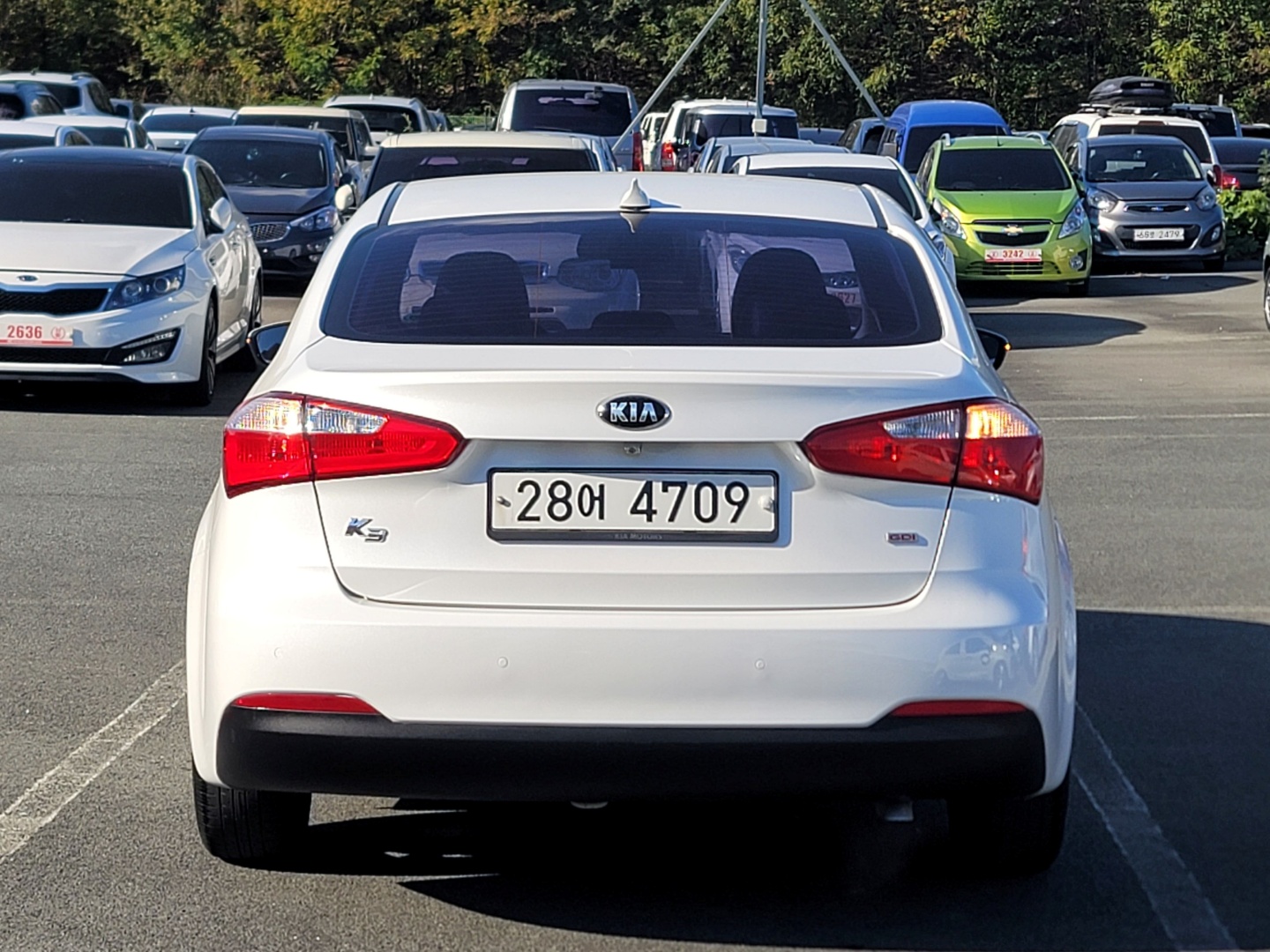 ecb51cdcb1076caed03eaa112a454726_1763439495_3341.jpg ecb51cdcb1076caed03eaa112a454726_1763439495_3341.jpg