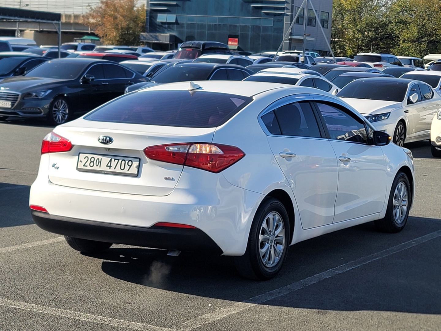 ecb51cdcb1076caed03eaa112a454726_1763439495_8335.jpg ecb51cdcb1076caed03eaa112a454726_1763439495_8335.jpg