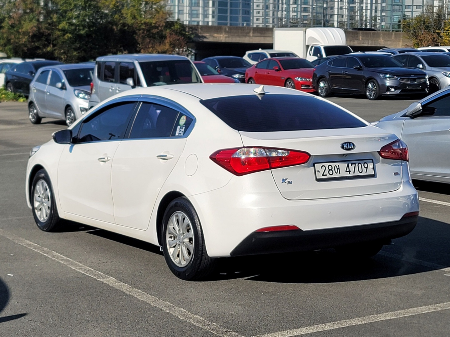 ecb51cdcb1076caed03eaa112a454726_1763439495_9253.jpg ecb51cdcb1076caed03eaa112a454726_1763439495_9253.jpg