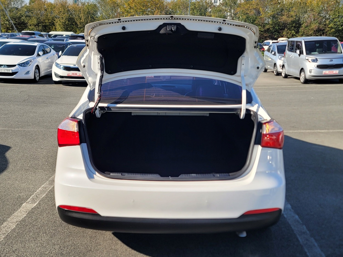 ecb51cdcb1076caed03eaa112a454726_1763439496_2133.jpg ecb51cdcb1076caed03eaa112a454726_1763439496_2133.jpg