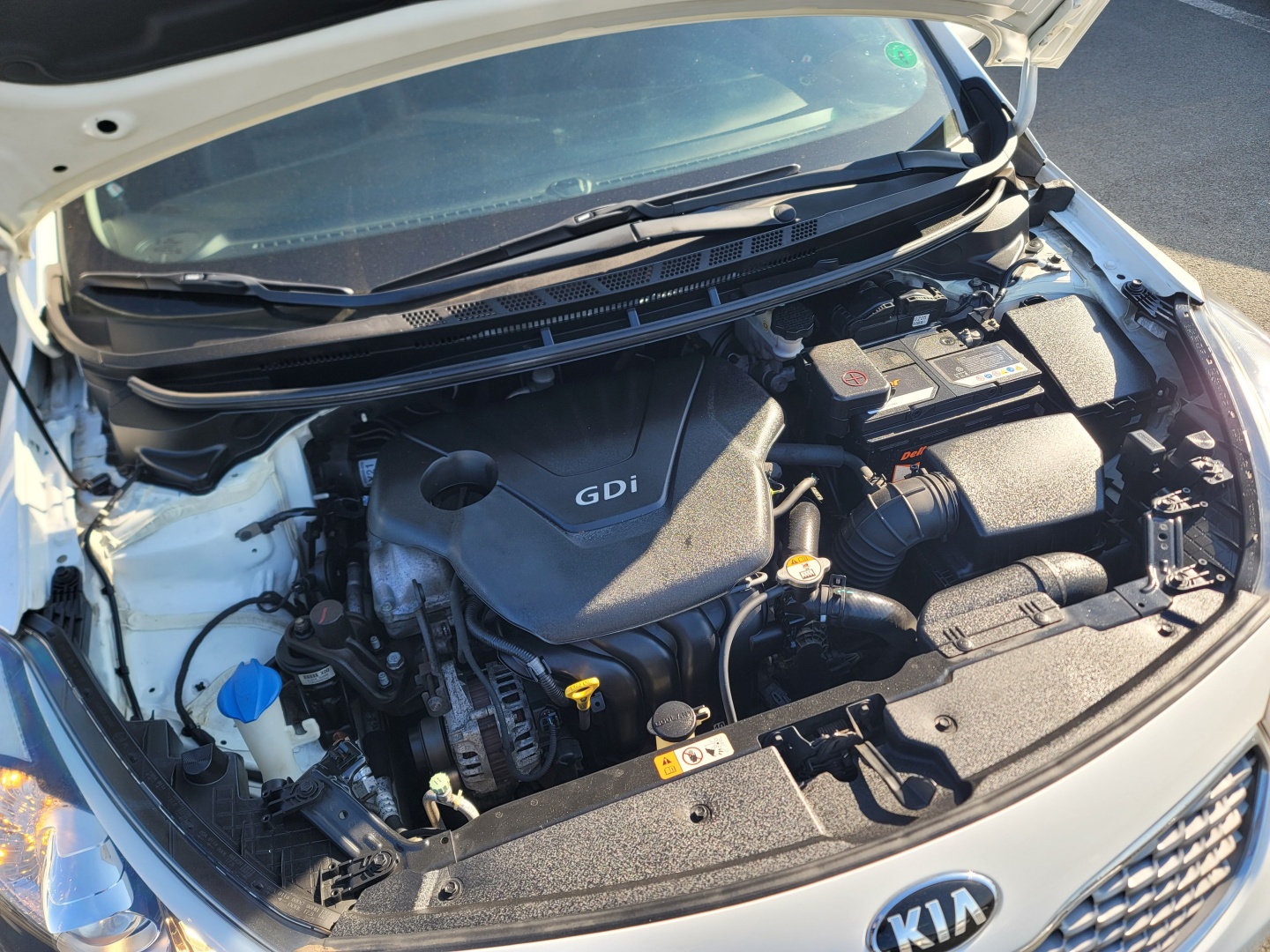 ecb51cdcb1076caed03eaa112a454726_1763439534_0415.jpg ecb51cdcb1076caed03eaa112a454726_1763439534_0415.jpg