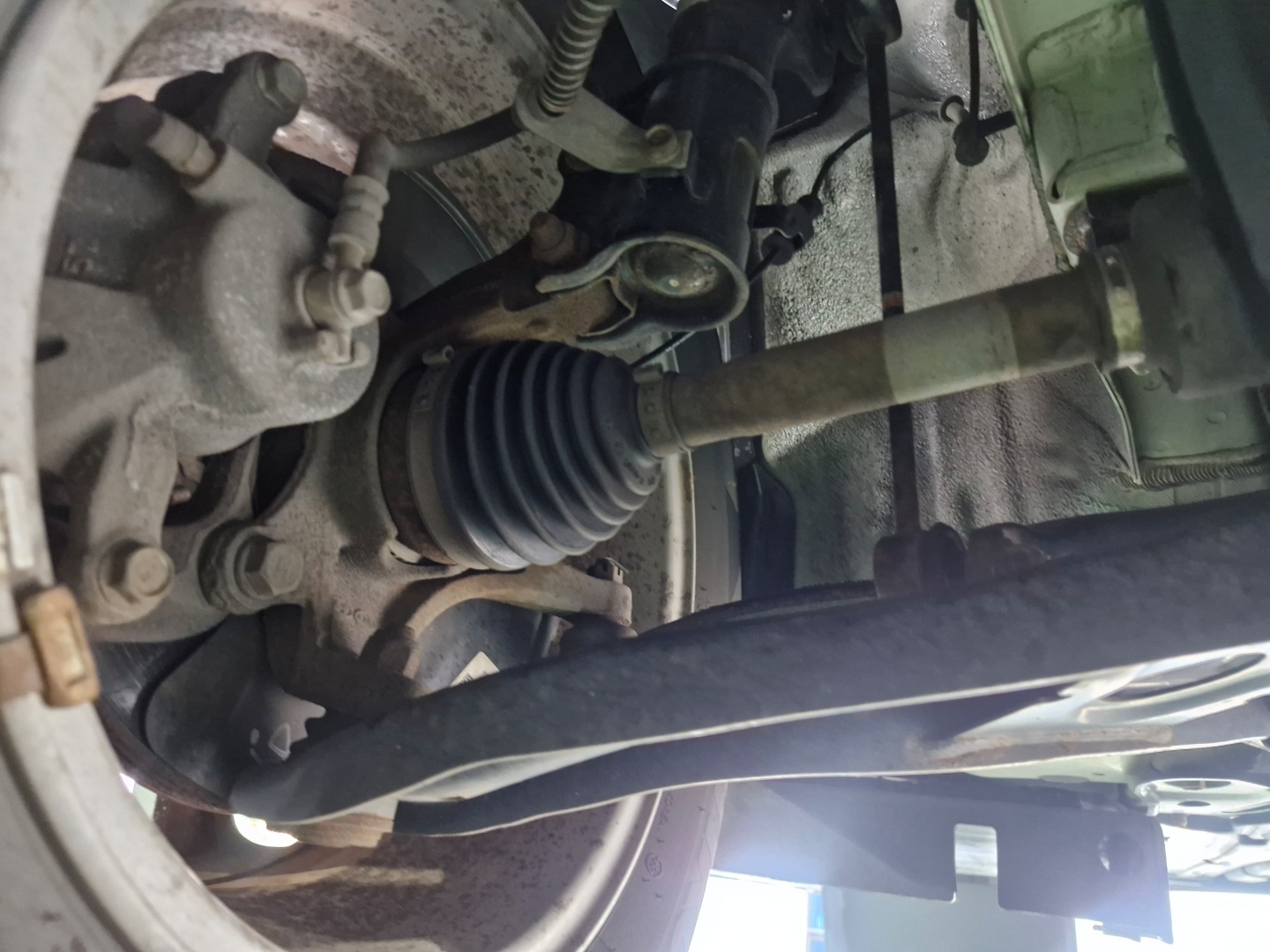 ecb51cdcb1076caed03eaa112a454726_1763439558_053.jpg ecb51cdcb1076caed03eaa112a454726_1763439558_053.jpg