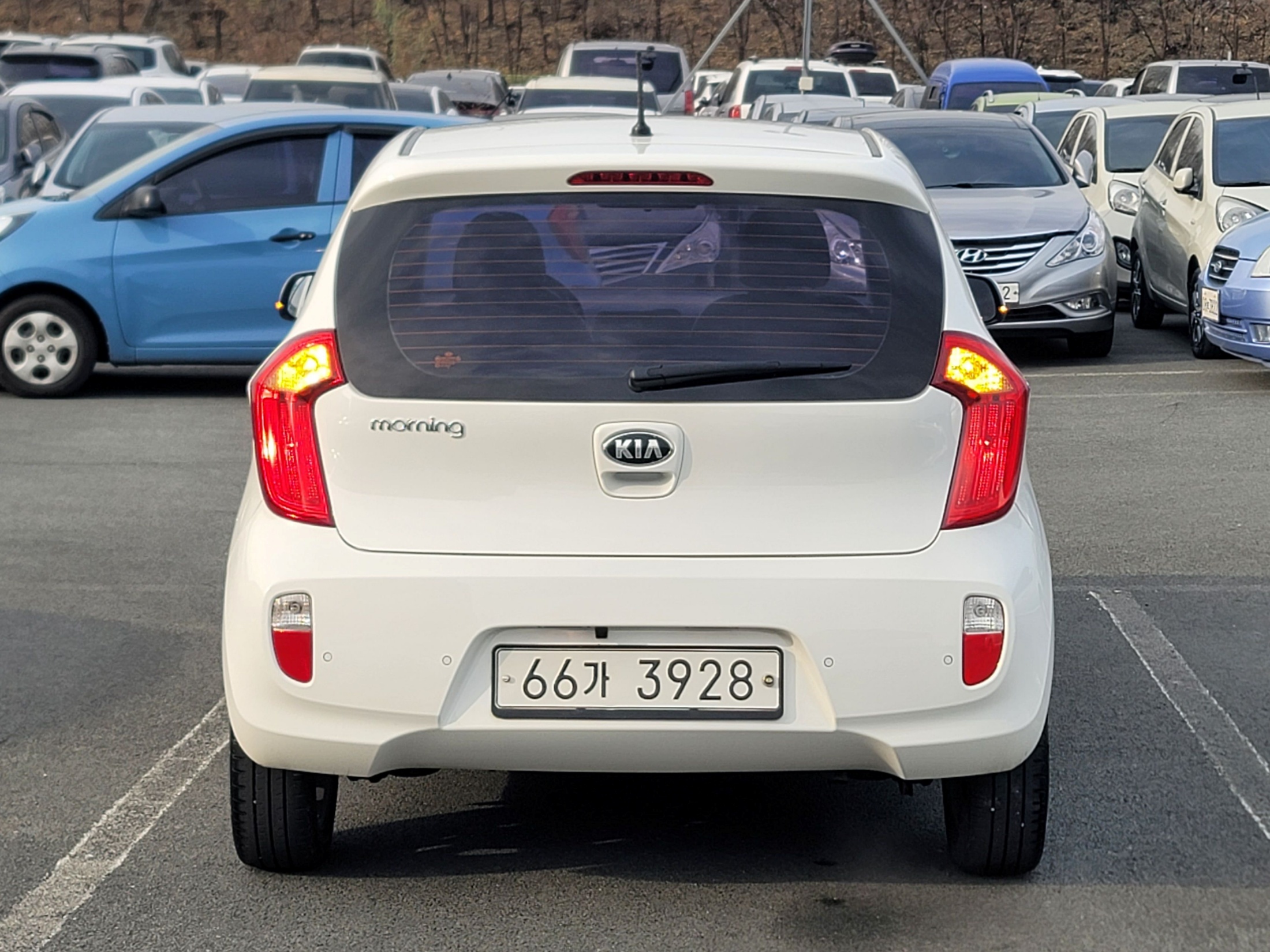 0aed7a35fdfcf12e4bd57b95485e8ff3_1765421093_2246.jpg 0aed7a35fdfcf12e4bd57b95485e8ff3_1765421093_2246.jpg