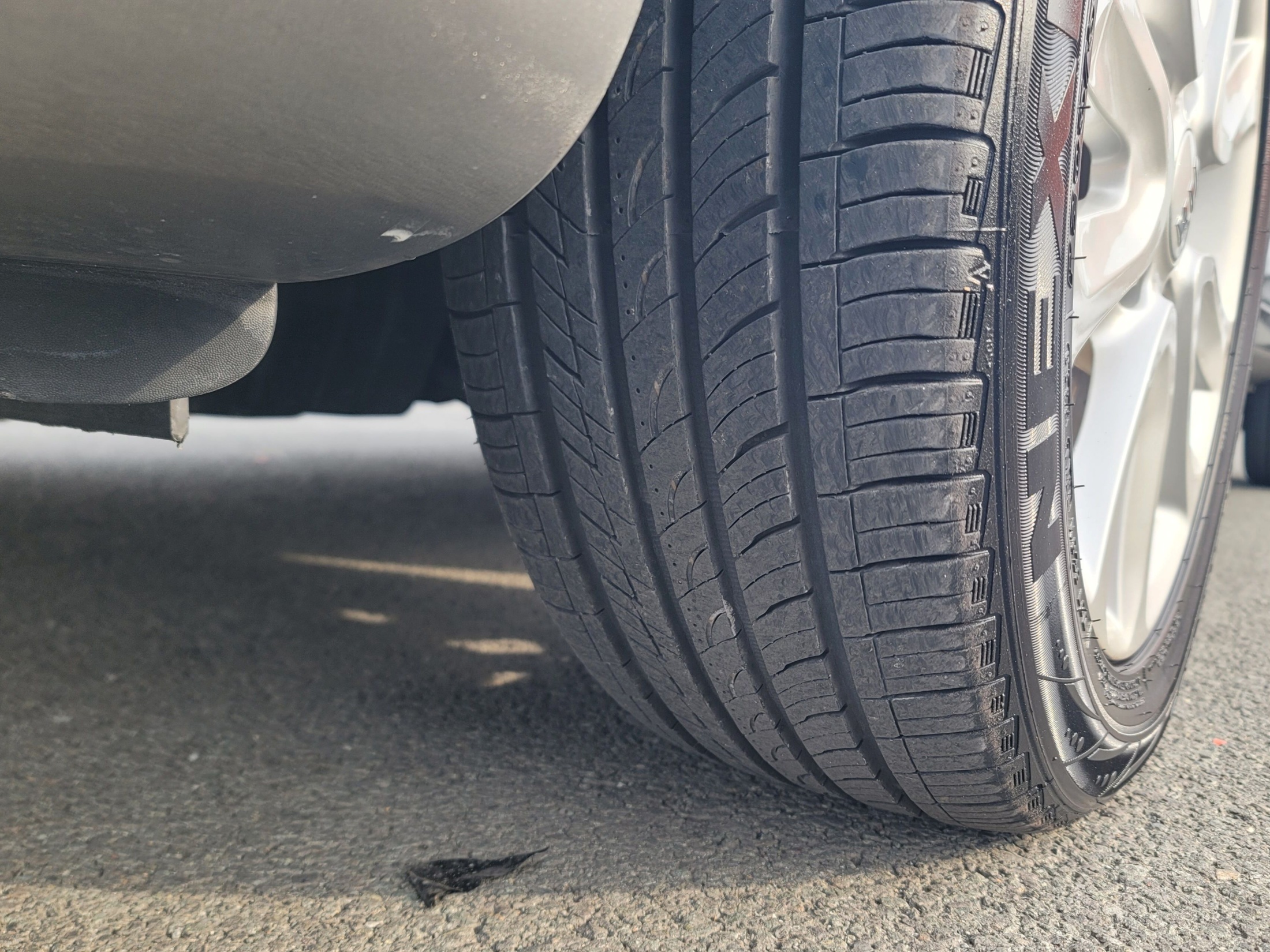 0aed7a35fdfcf12e4bd57b95485e8ff3_1765424267_4505.jpg 0aed7a35fdfcf12e4bd57b95485e8ff3_1765424267_4505.jpg