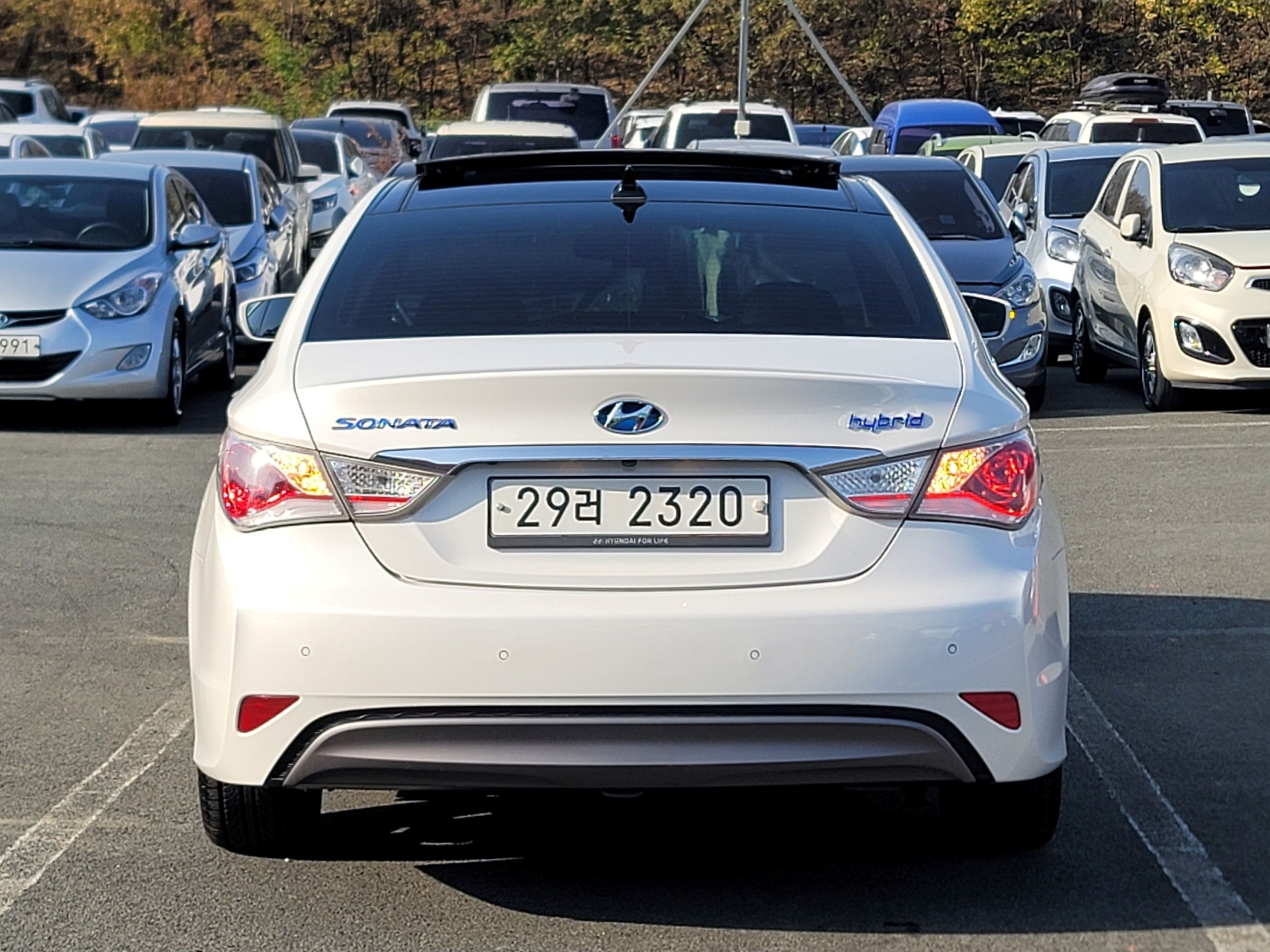 0e36cfcfec8a832d2cbcc7c93e3a56c0_1764644370_7526.jpg 0e36cfcfec8a832d2cbcc7c93e3a56c0_1764644370_7526.jpg