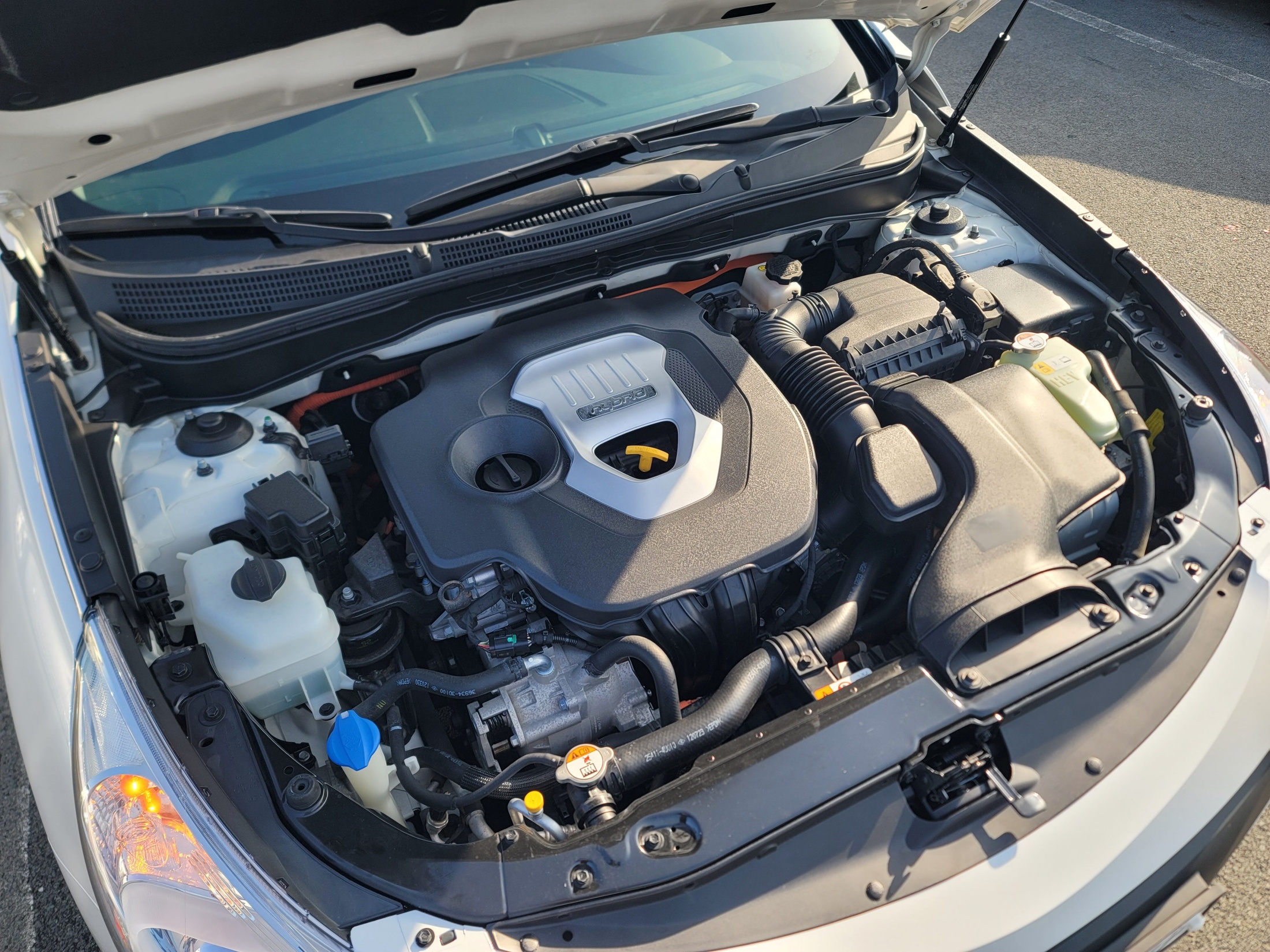 0e36cfcfec8a832d2cbcc7c93e3a56c0_1764644447_7052.jpg 0e36cfcfec8a832d2cbcc7c93e3a56c0_1764644447_7052.jpg