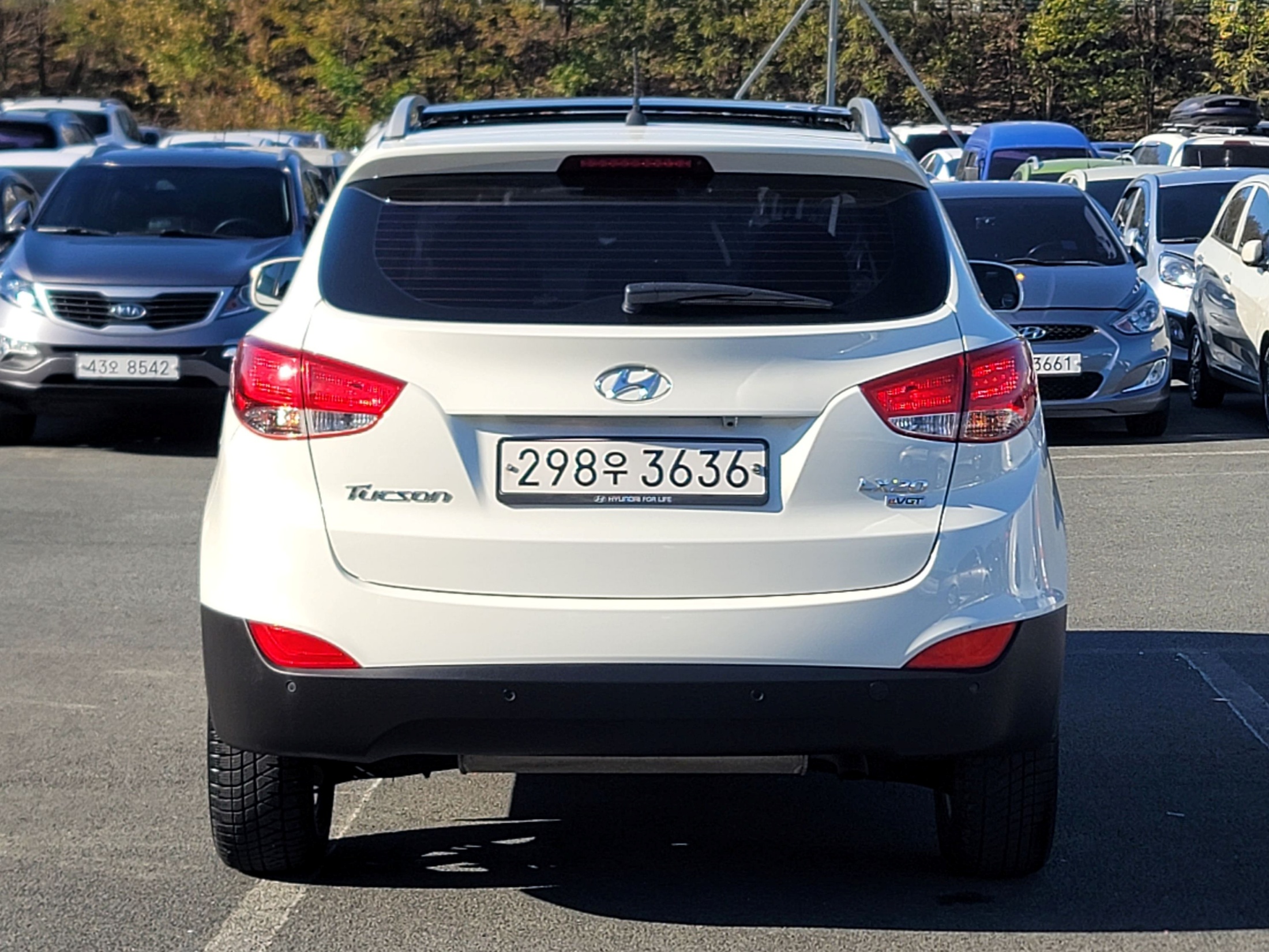 34364b1f42c8202eafcc96bd09634ea0_1764575409_2667.jpg 34364b1f42c8202eafcc96bd09634ea0_1764575409_2667.jpg