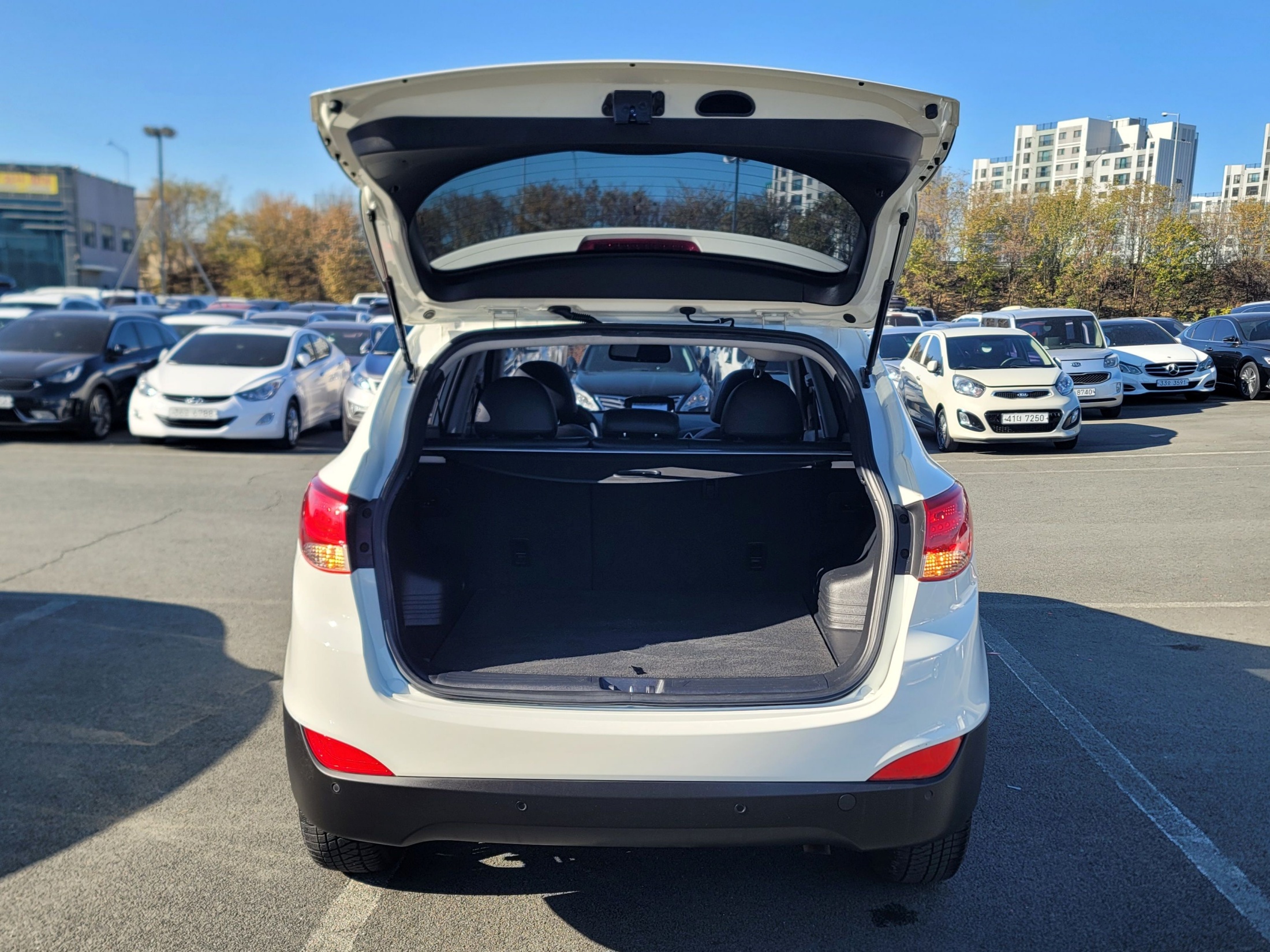 34364b1f42c8202eafcc96bd09634ea0_1764575410_8822.jpg 34364b1f42c8202eafcc96bd09634ea0_1764575410_8822.jpg