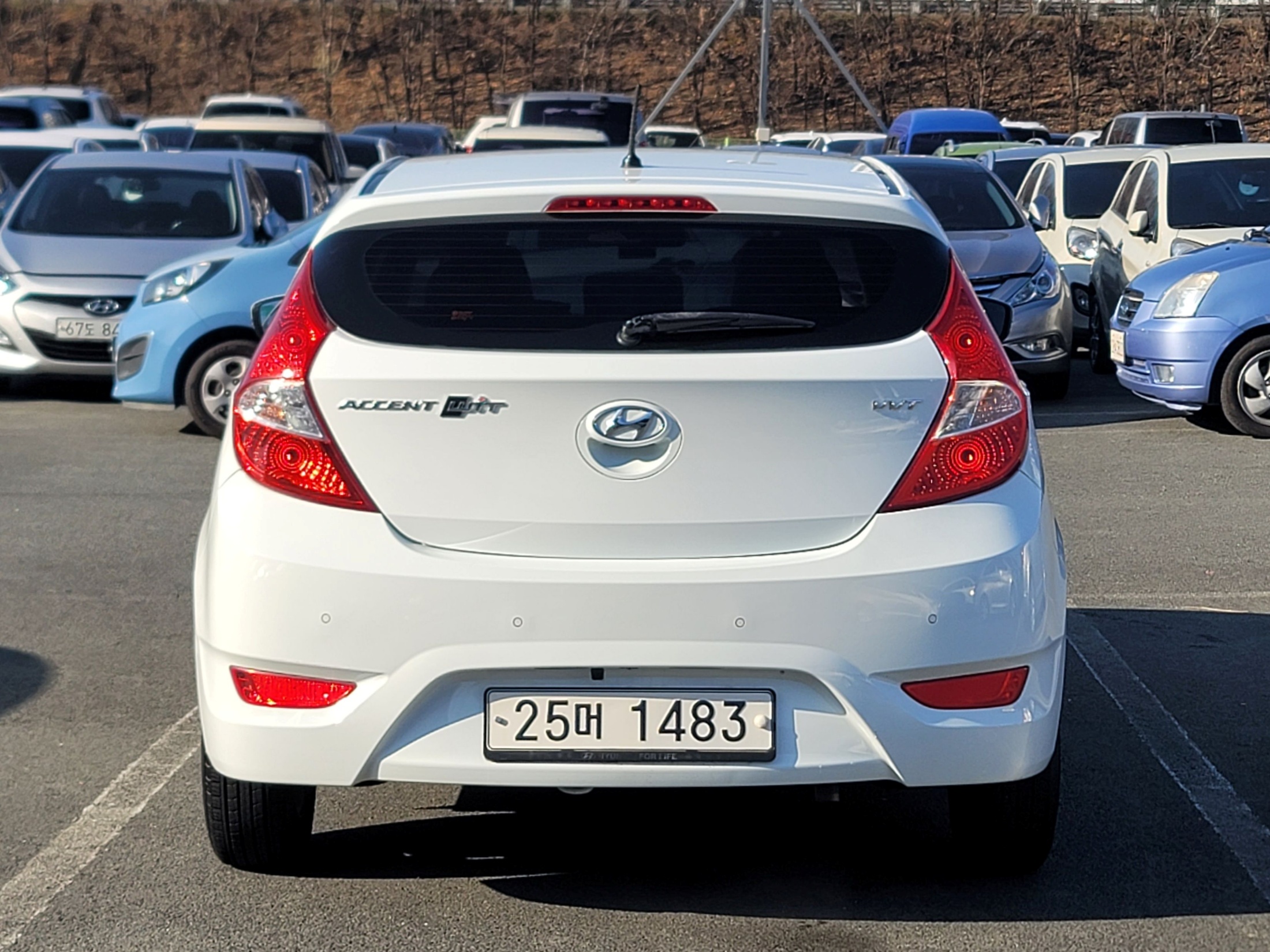 3d2846b783809135f43ce53941bb6eb6_1766026547_123.jpg 3d2846b783809135f43ce53941bb6eb6_1766026547_123.jpg