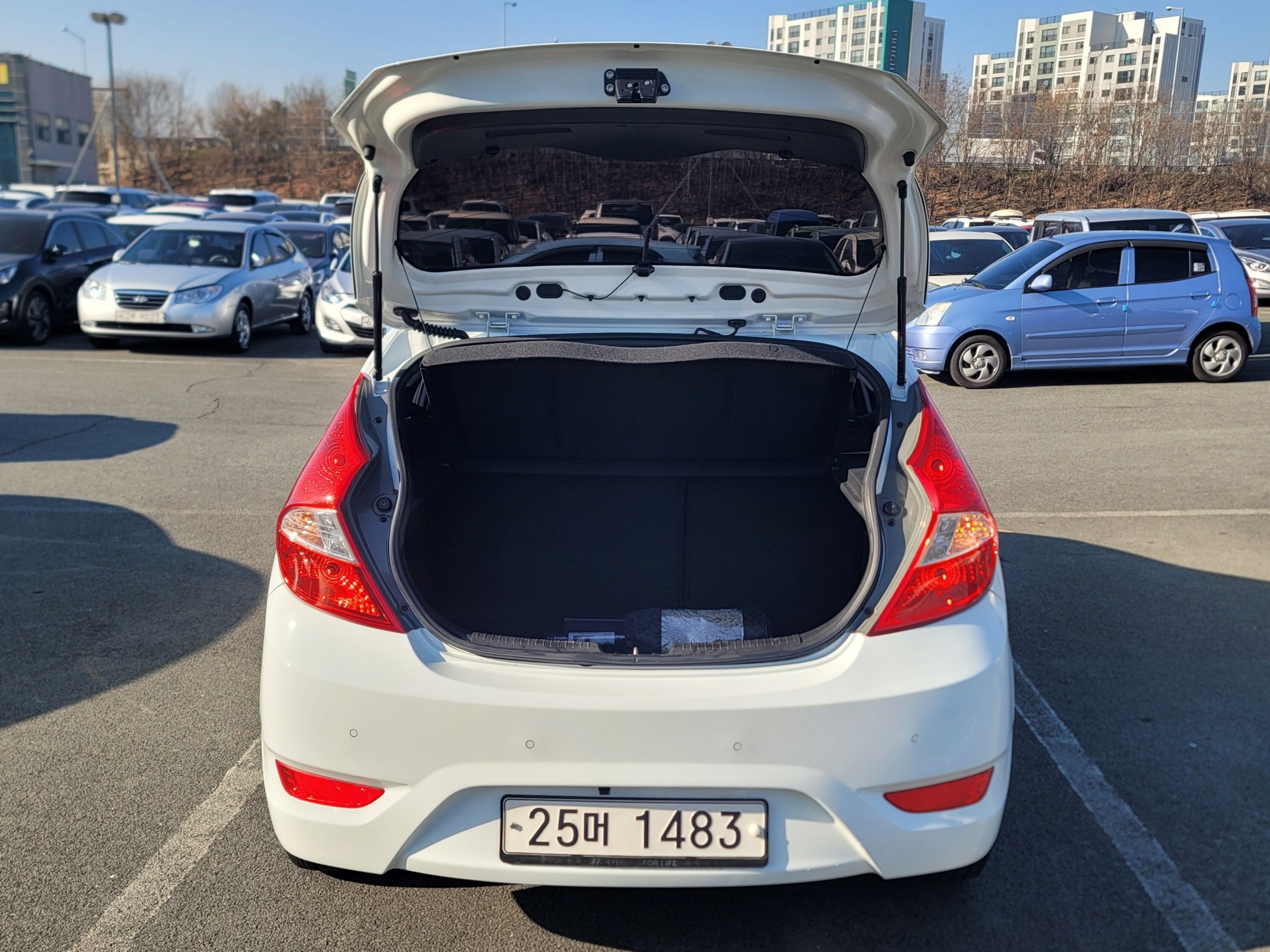 3d2846b783809135f43ce53941bb6eb6_1766026549_2337.jpg 3d2846b783809135f43ce53941bb6eb6_1766026549_2337.jpg