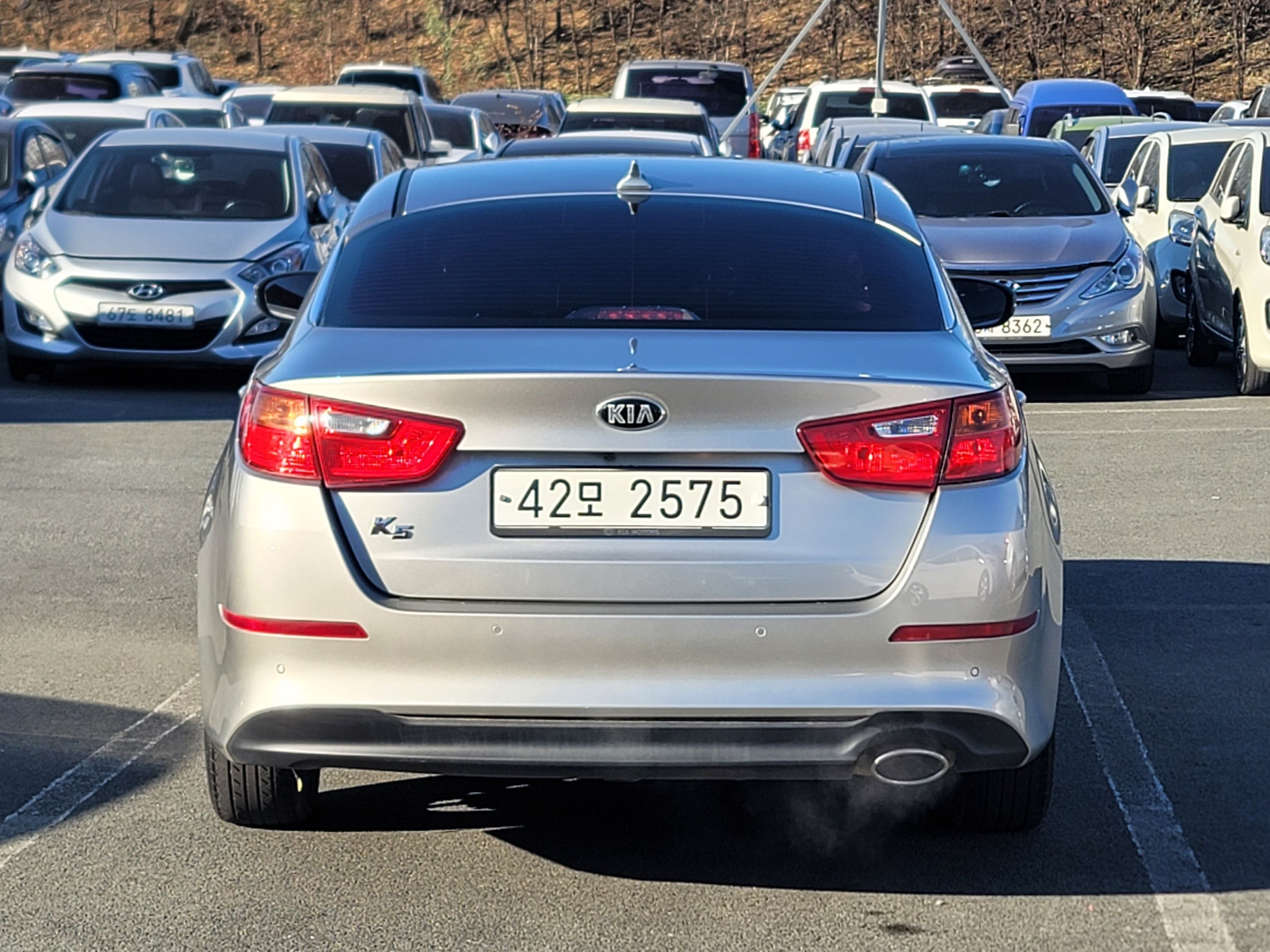 4f965159288643b2ffb1714ecd10837c_1765248730_6145.jpg 4f965159288643b2ffb1714ecd10837c_1765248730_6145.jpg