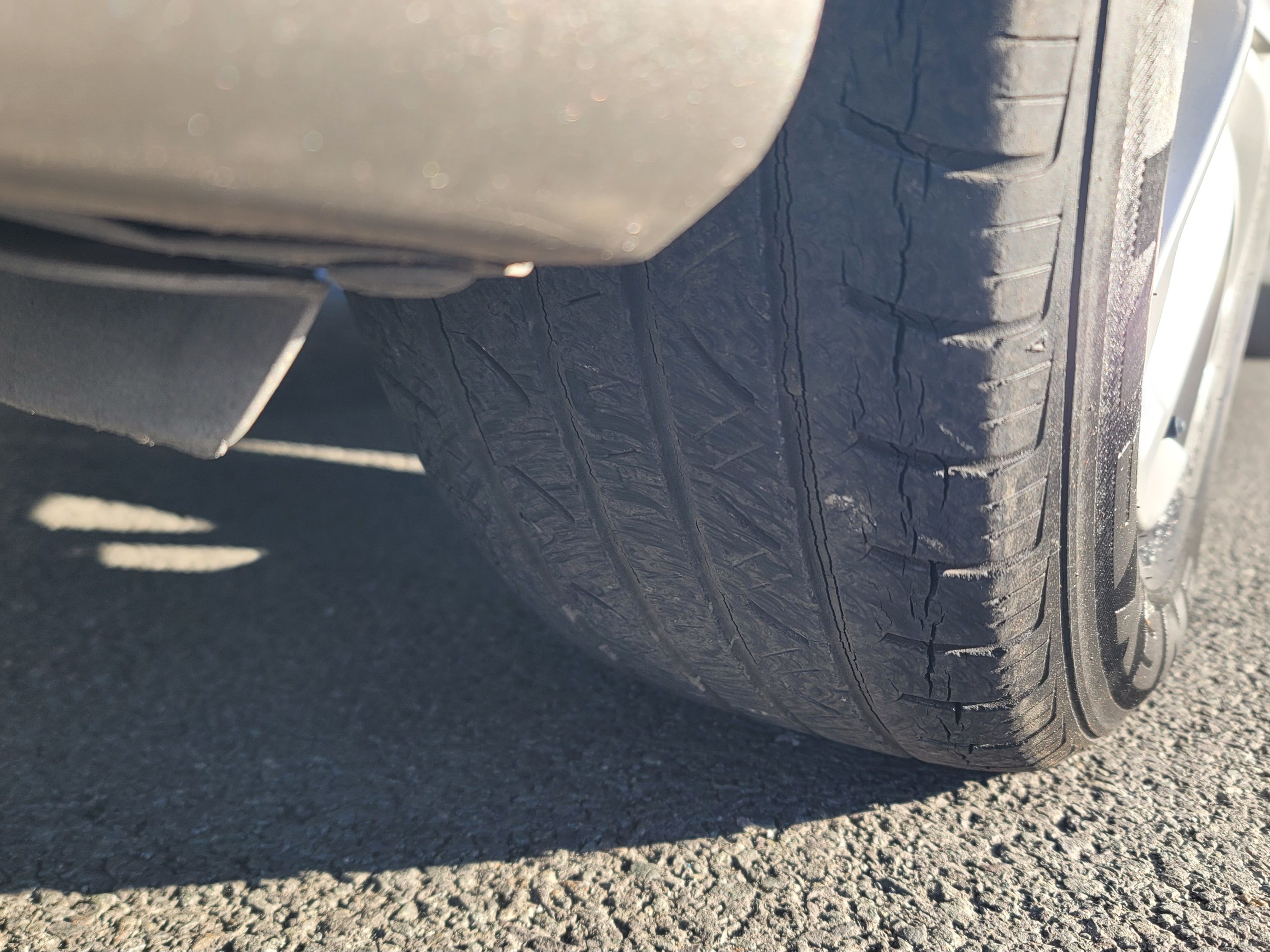 4f965159288643b2ffb1714ecd10837c_1765248769_5663.jpg 4f965159288643b2ffb1714ecd10837c_1765248769_5663.jpg