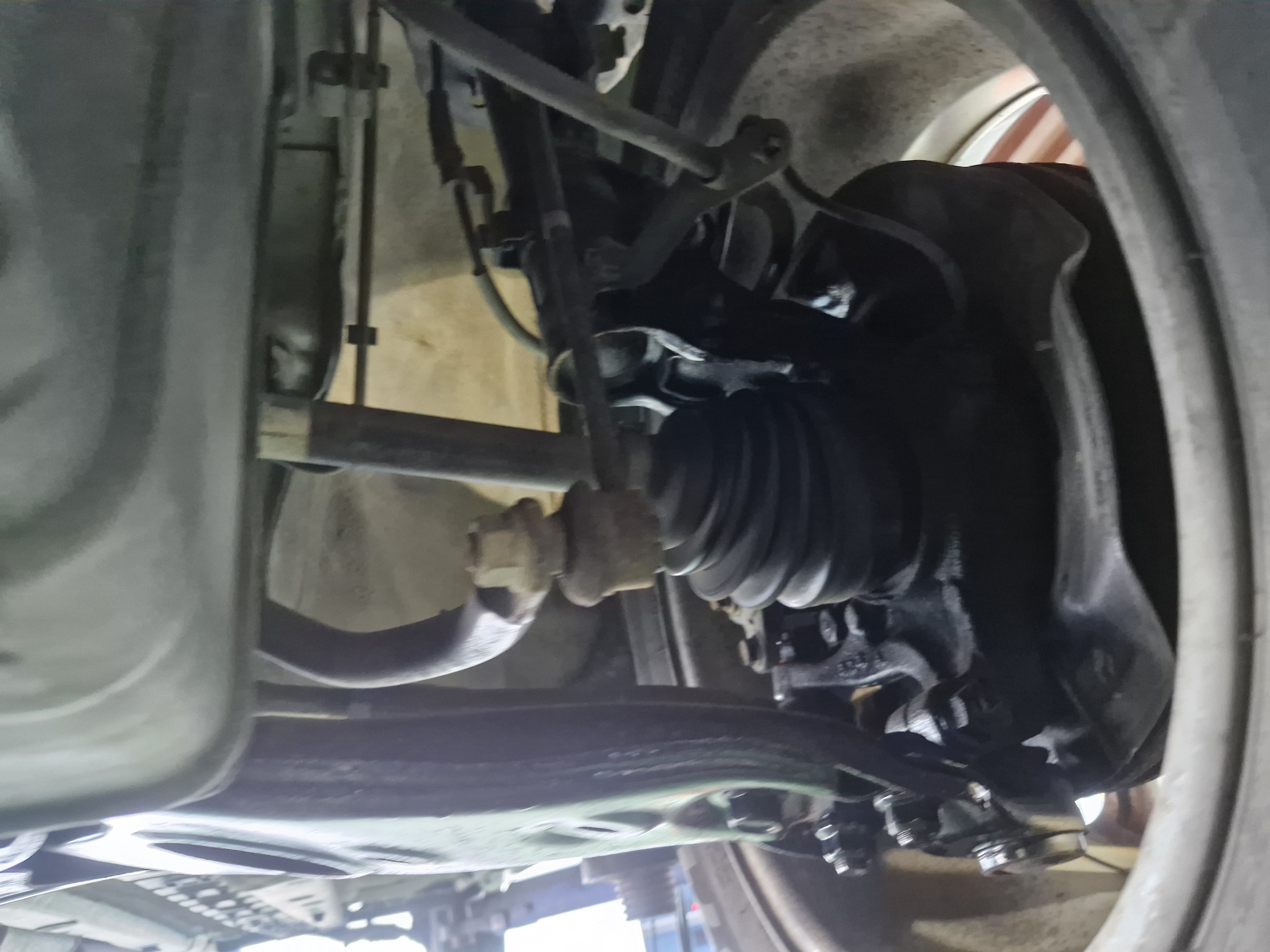 4f965159288643b2ffb1714ecd10837c_1765248784_4052.jpg 4f965159288643b2ffb1714ecd10837c_1765248784_4052.jpg