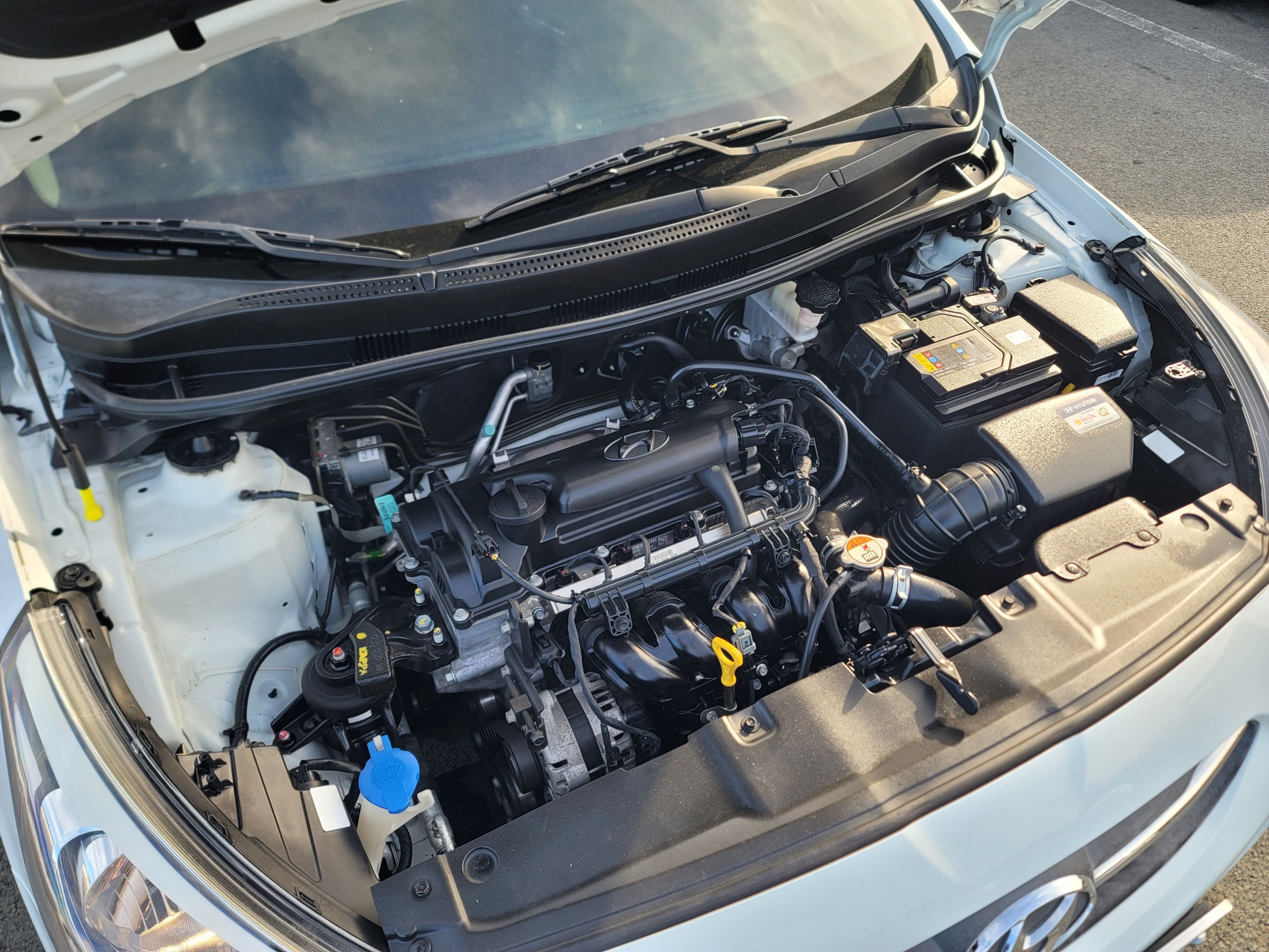 4f965159288643b2ffb1714ecd10837c_1765258240_2332.jpg 4f965159288643b2ffb1714ecd10837c_1765258240_2332.jpg