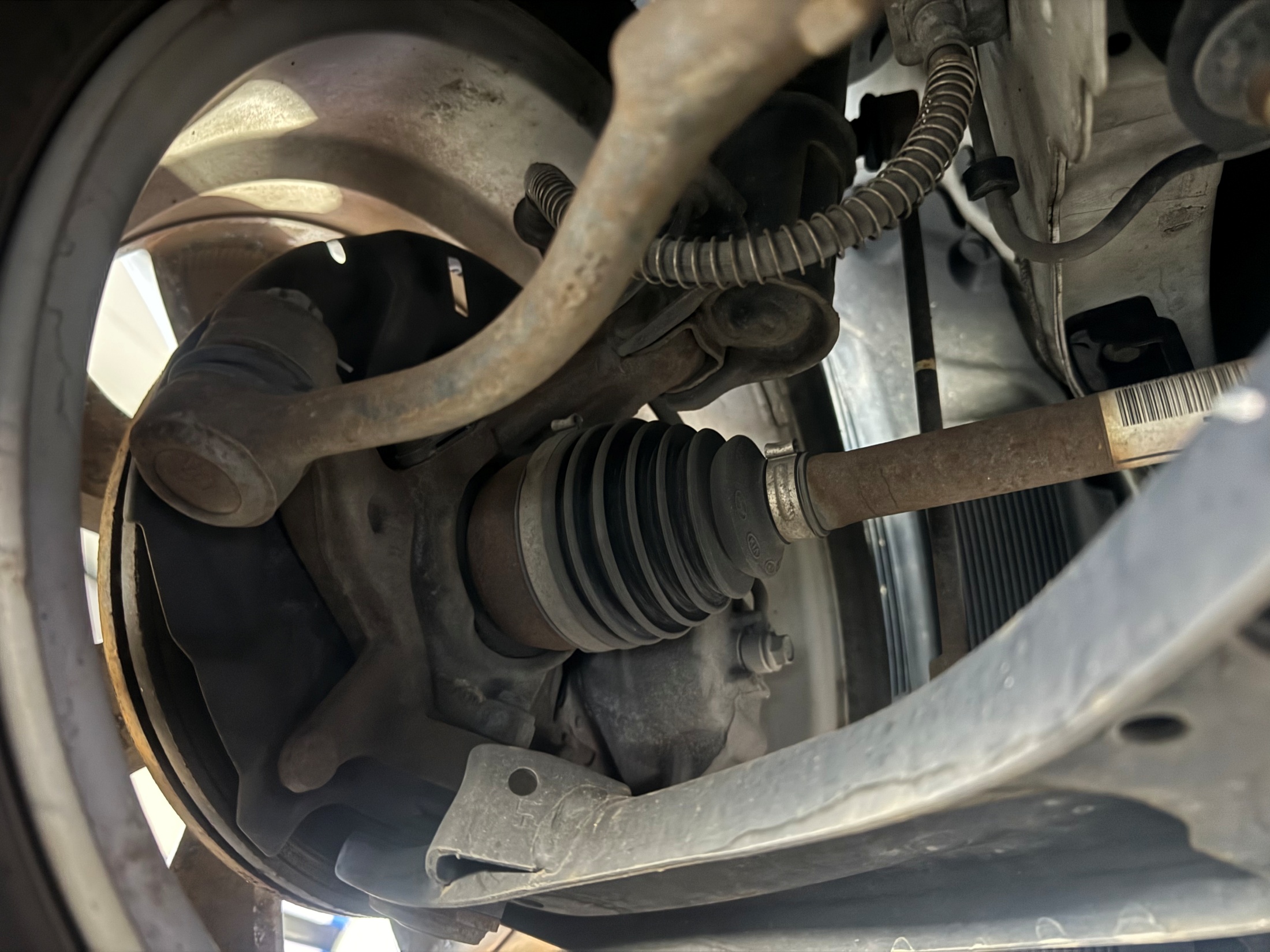 4f965159288643b2ffb1714ecd10837c_1765258262_5962.jpg 4f965159288643b2ffb1714ecd10837c_1765258262_5962.jpg