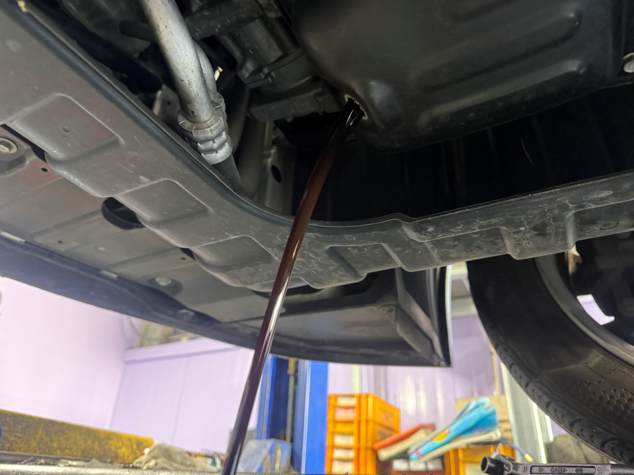 4f965159288643b2ffb1714ecd10837c_1765258264_2465.jpg 4f965159288643b2ffb1714ecd10837c_1765258264_2465.jpg