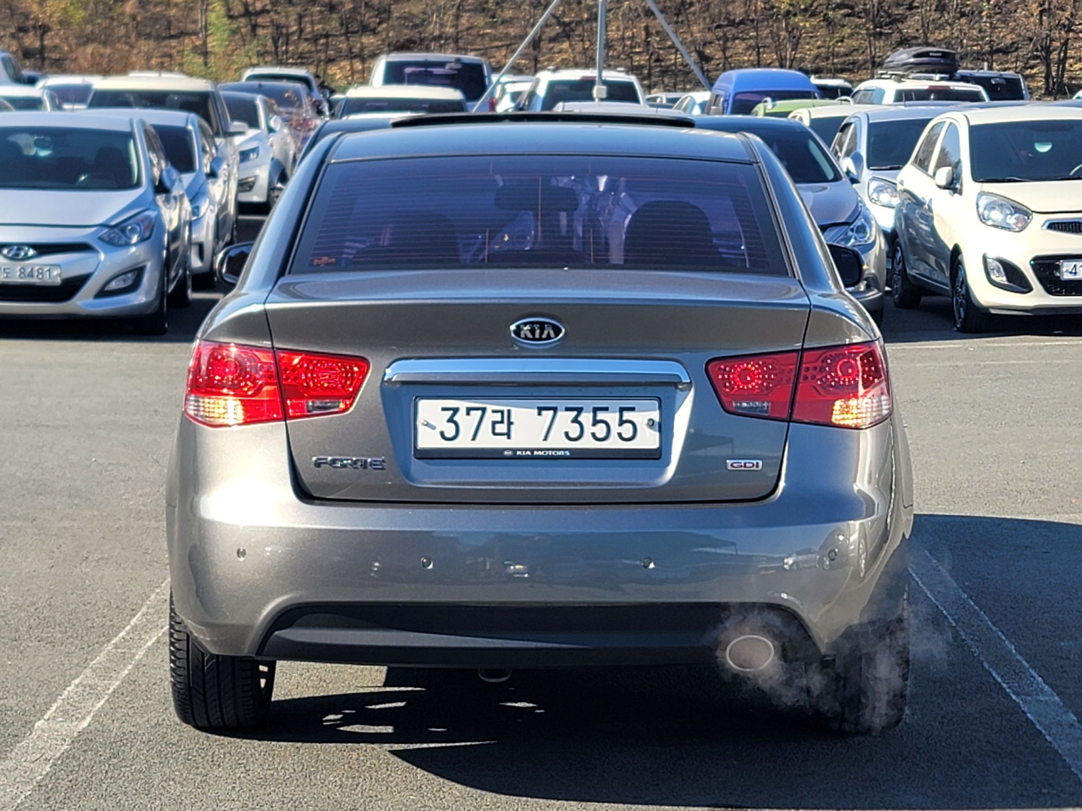 4f965159288643b2ffb1714ecd10837c_1765258738_4969.jpg 4f965159288643b2ffb1714ecd10837c_1765258738_4969.jpg