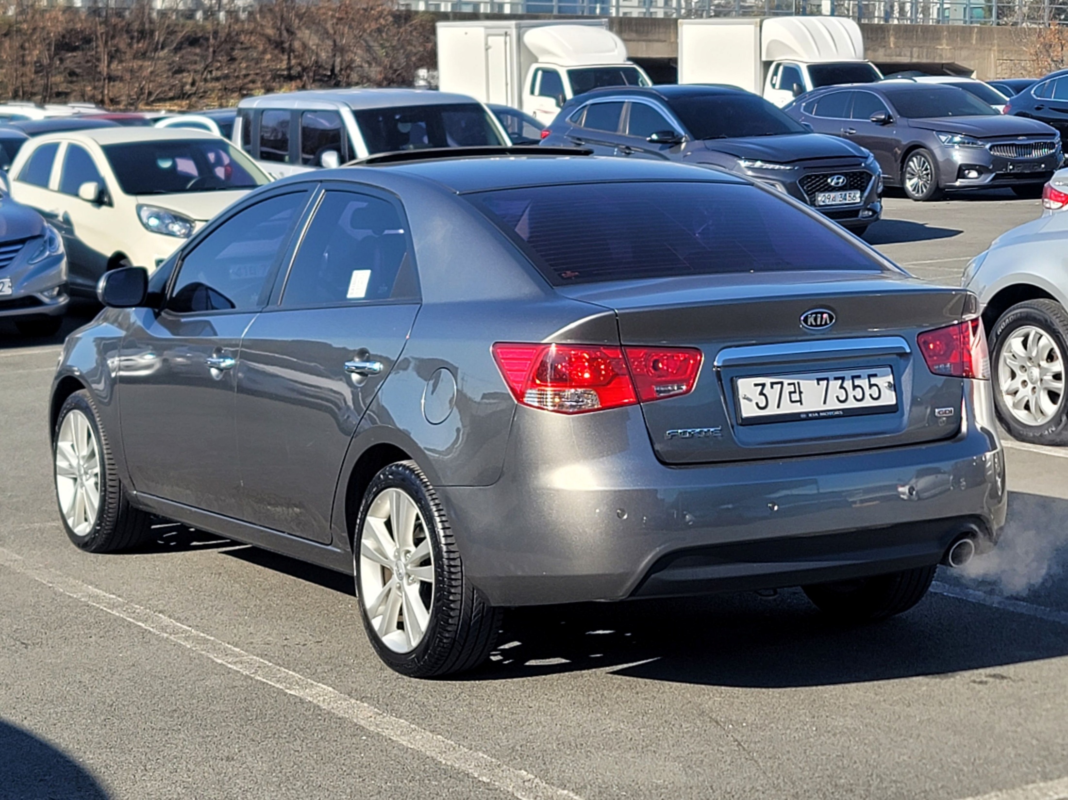 4f965159288643b2ffb1714ecd10837c_1765258740_3326.jpg 4f965159288643b2ffb1714ecd10837c_1765258740_3326.jpg