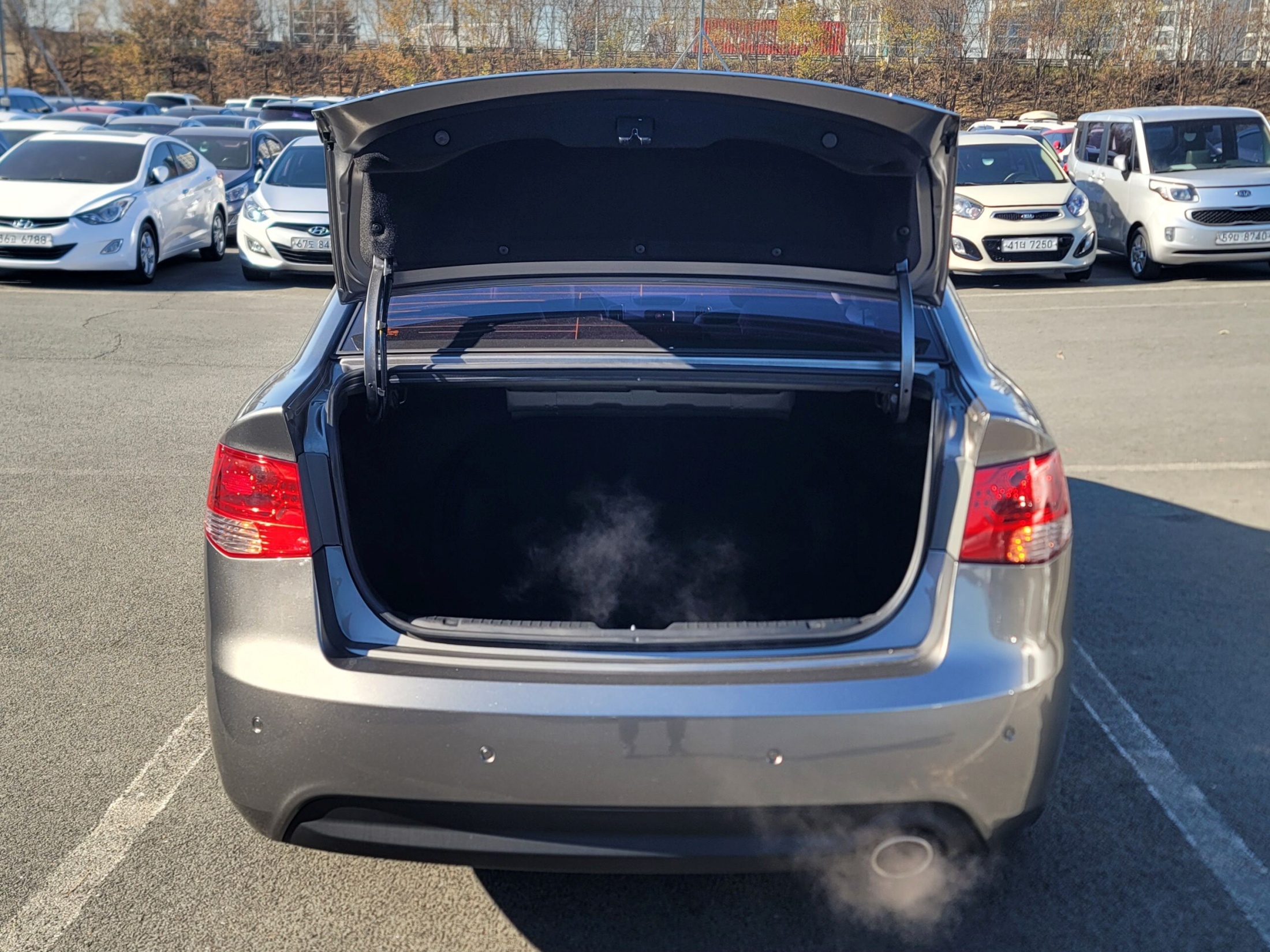 4f965159288643b2ffb1714ecd10837c_1765258740_9694.jpg 4f965159288643b2ffb1714ecd10837c_1765258740_9694.jpg