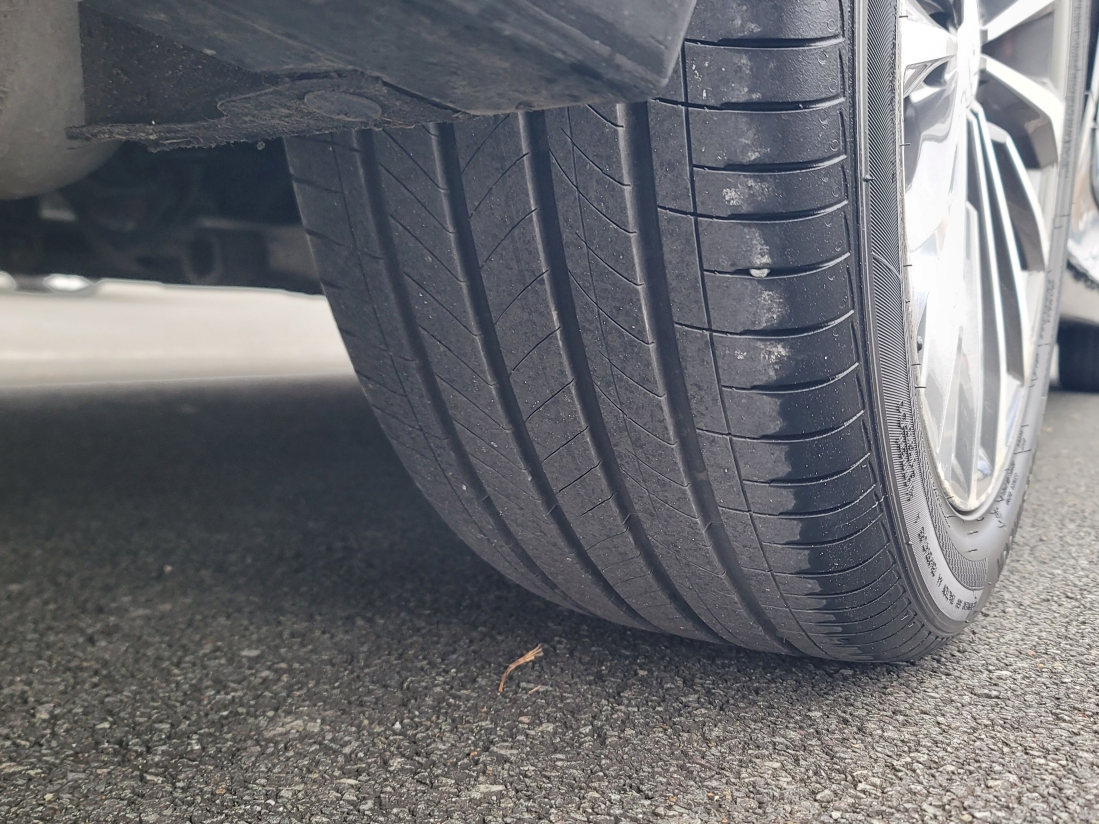 62062cb9555f84e6d4feed3bb154d241_1765511766_8478.jpg 62062cb9555f84e6d4feed3bb154d241_1765511766_8478.jpg